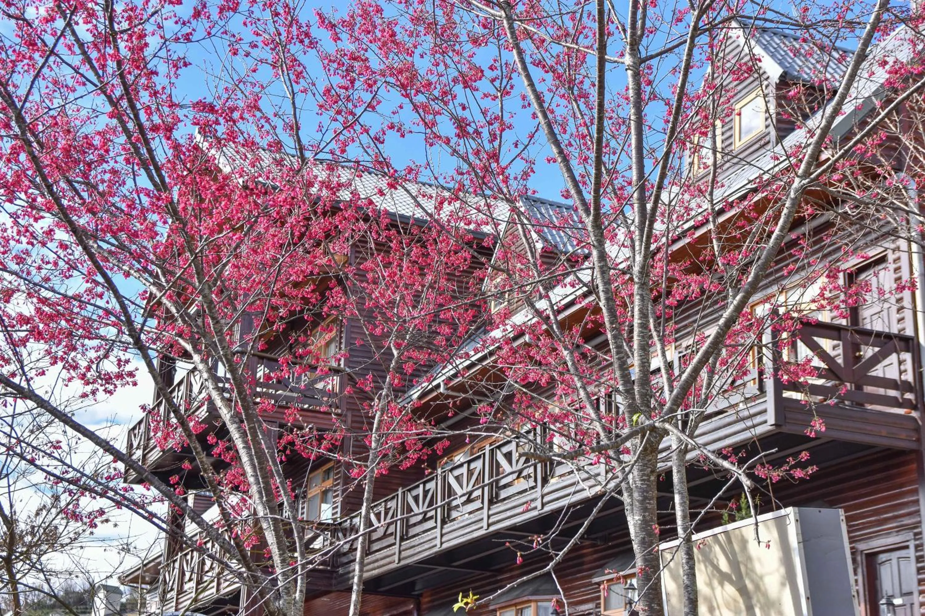 Off site in Beverly B&B