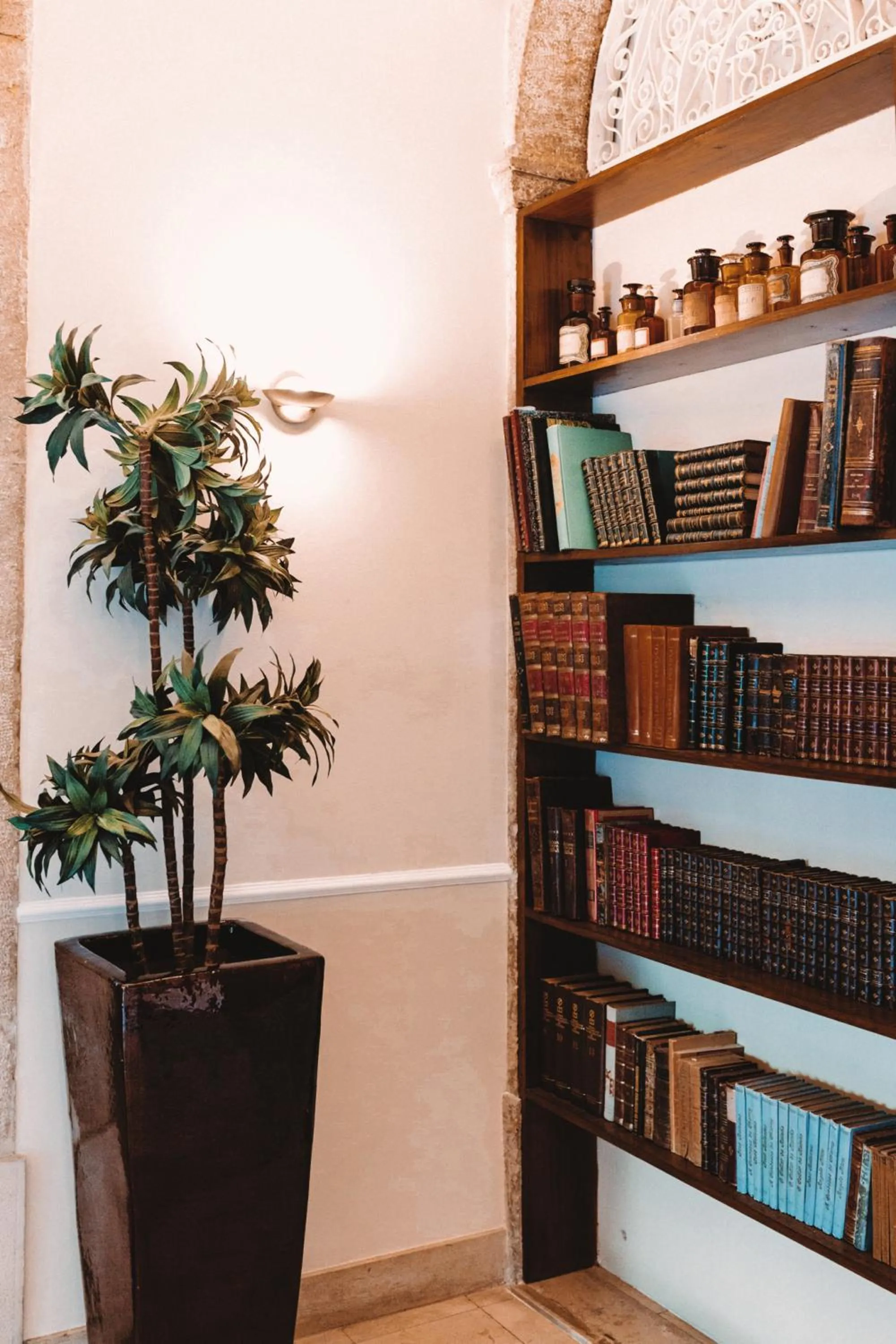 Library in Hotel Alegria