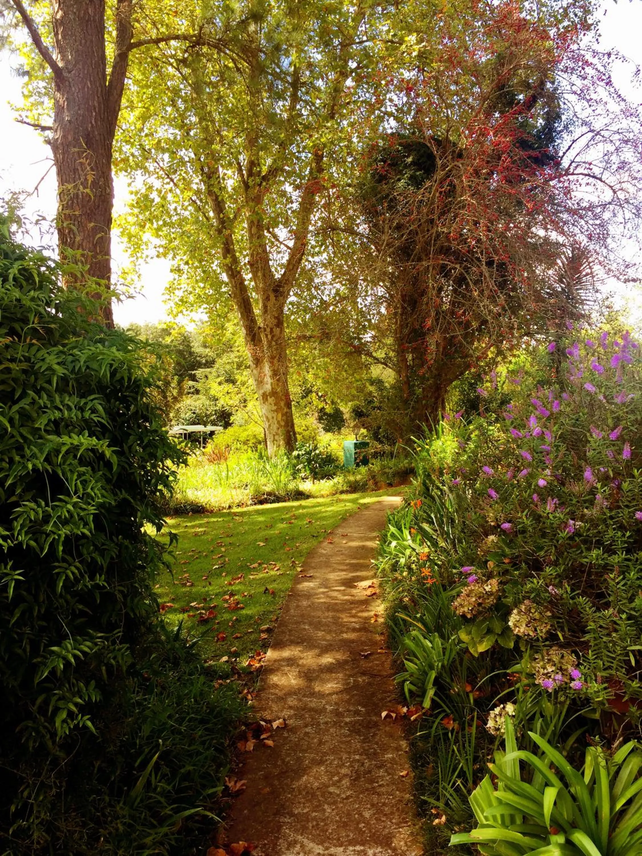 Day in Notting Hill Lodge