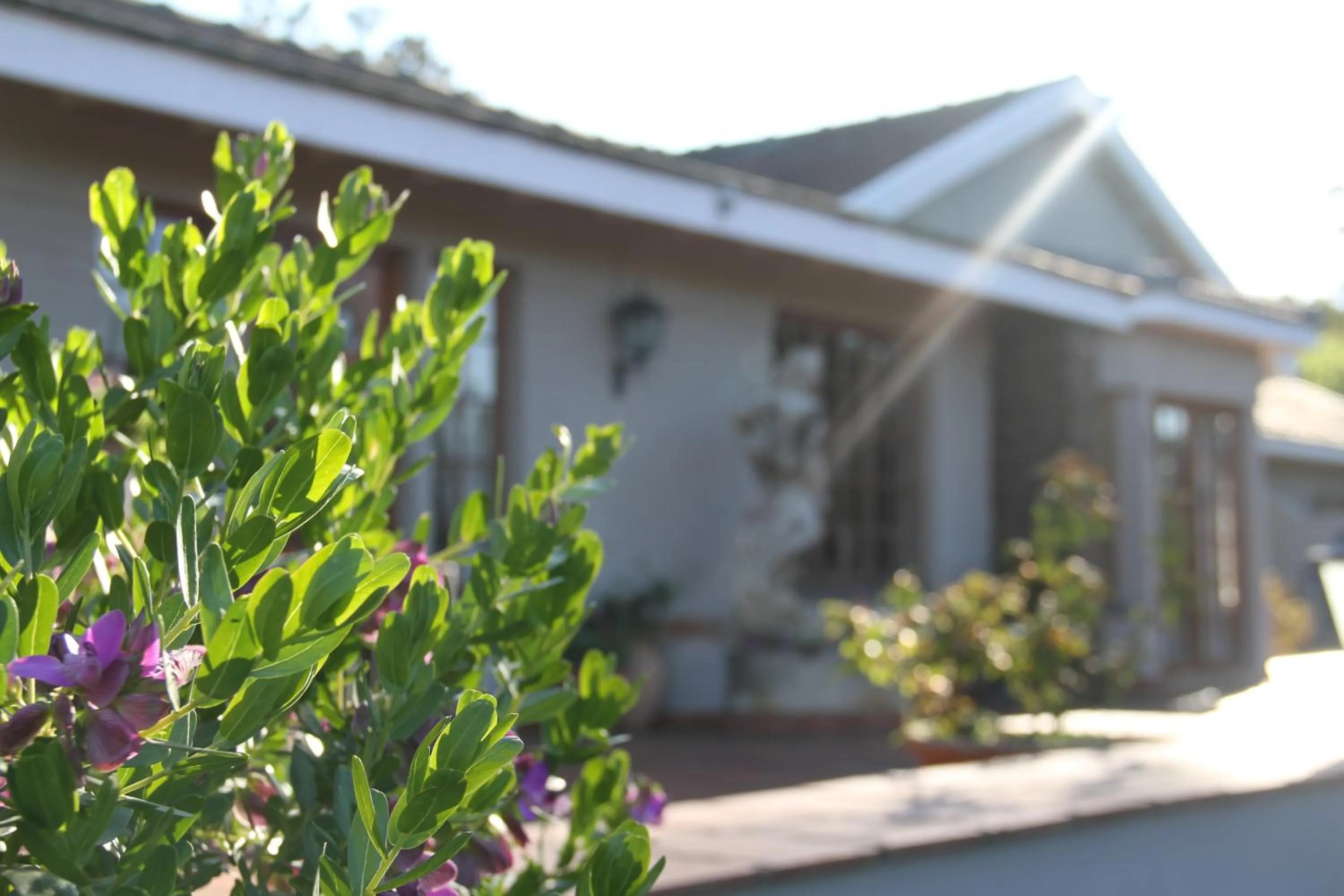 Balcony/Terrace in Notting Hill Lodge