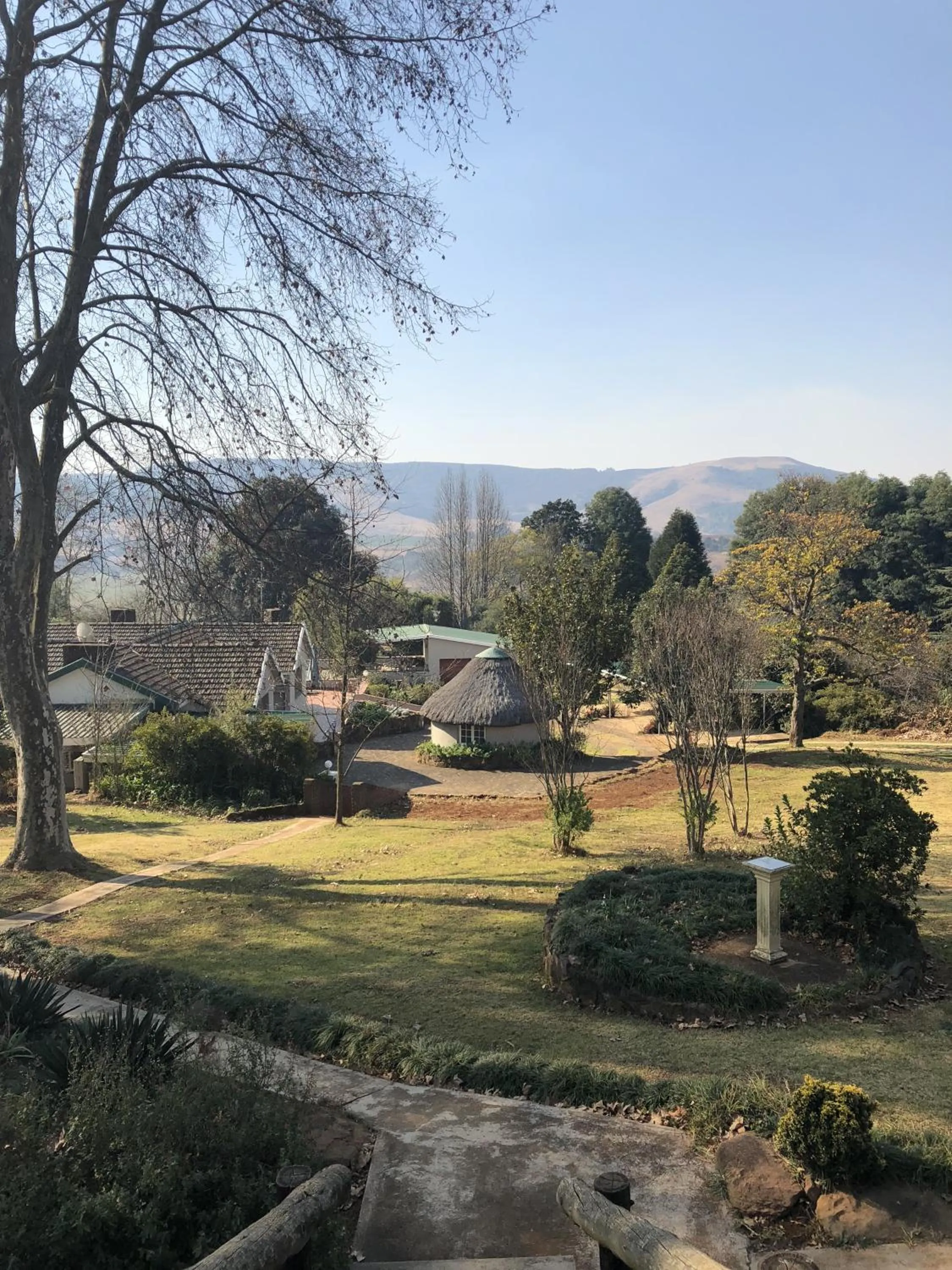 Garden view in Notting Hill Lodge