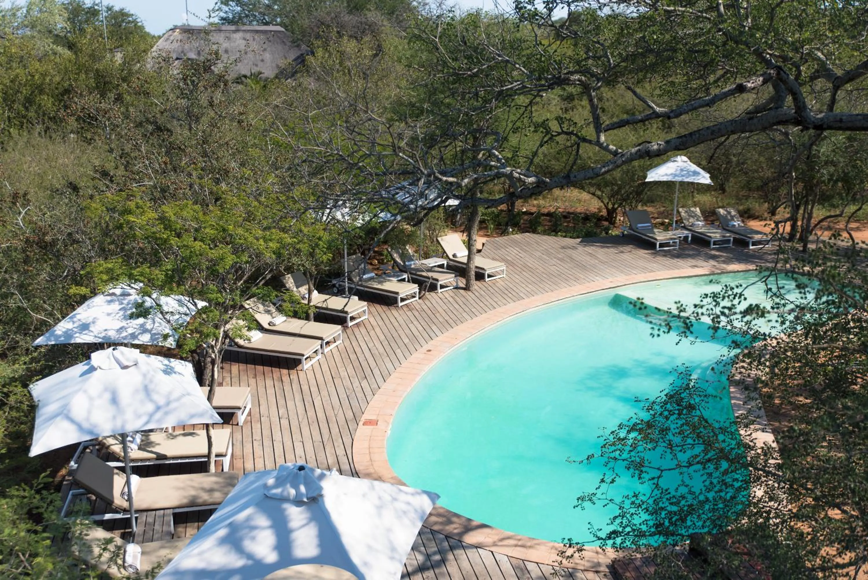Pool view in Unembeza Boutique Lodge & Spa