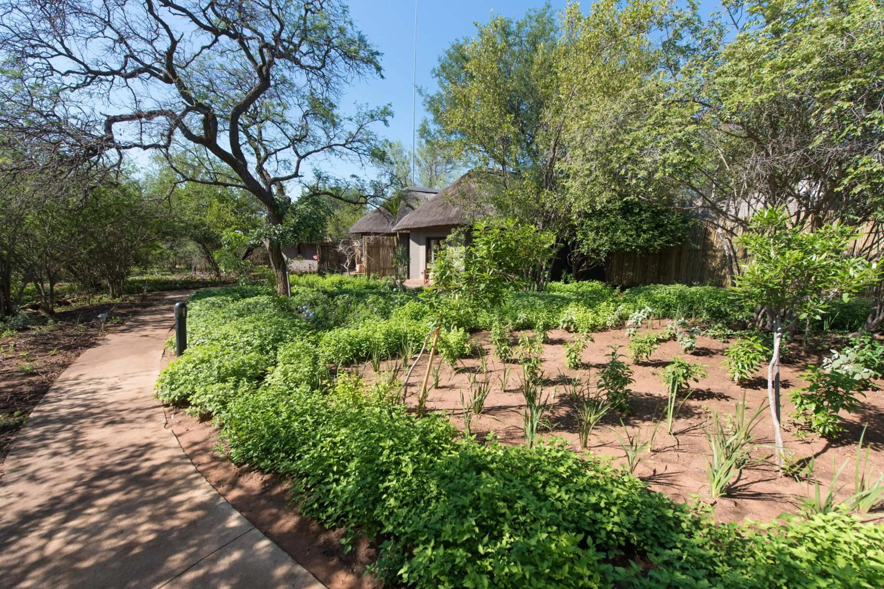 Garden in Unembeza Boutique Lodge & Spa