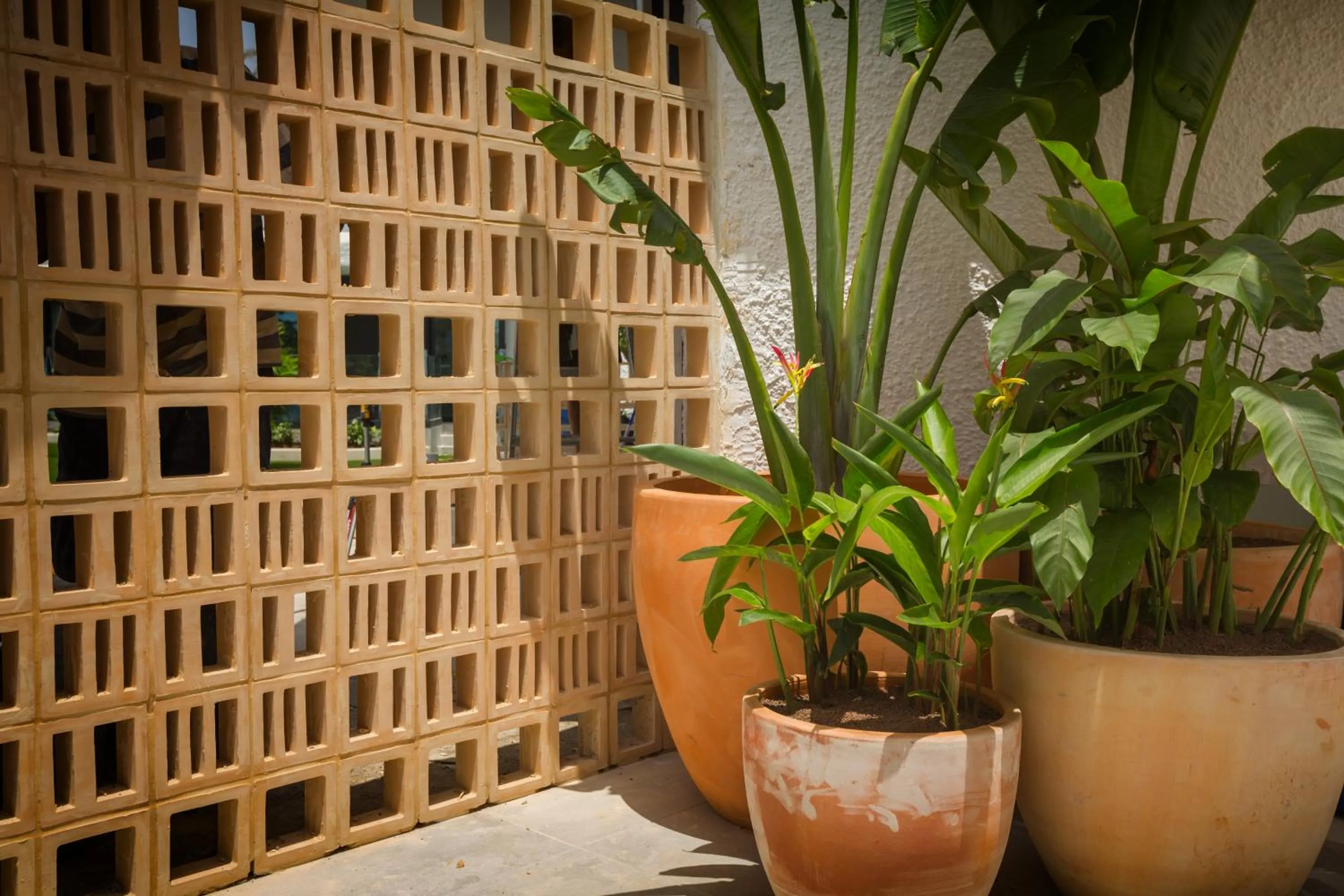 Lobby or reception in Bungalows Doña Rosa