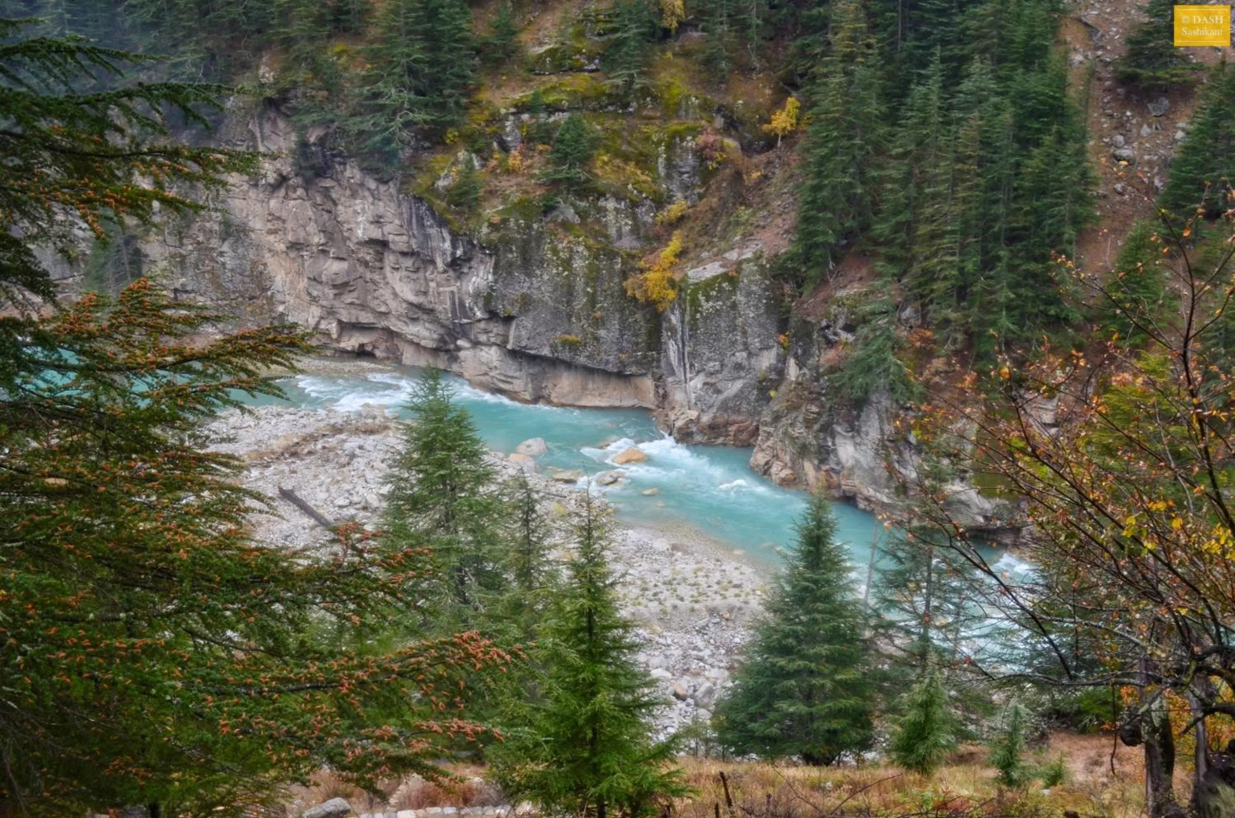 Neighbourhood in Prakriti-The Retreat