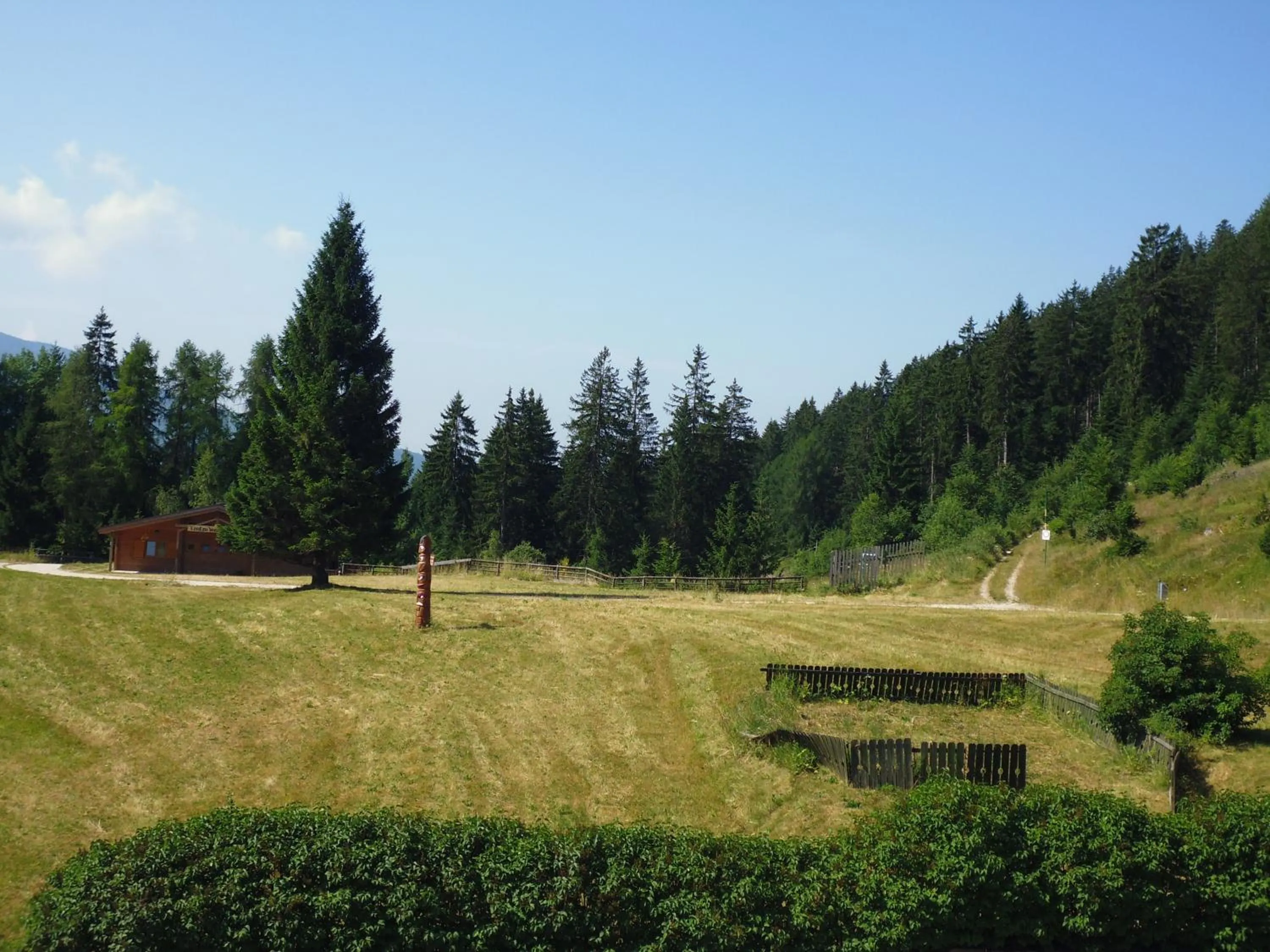 Garden in Hotel Paradiso