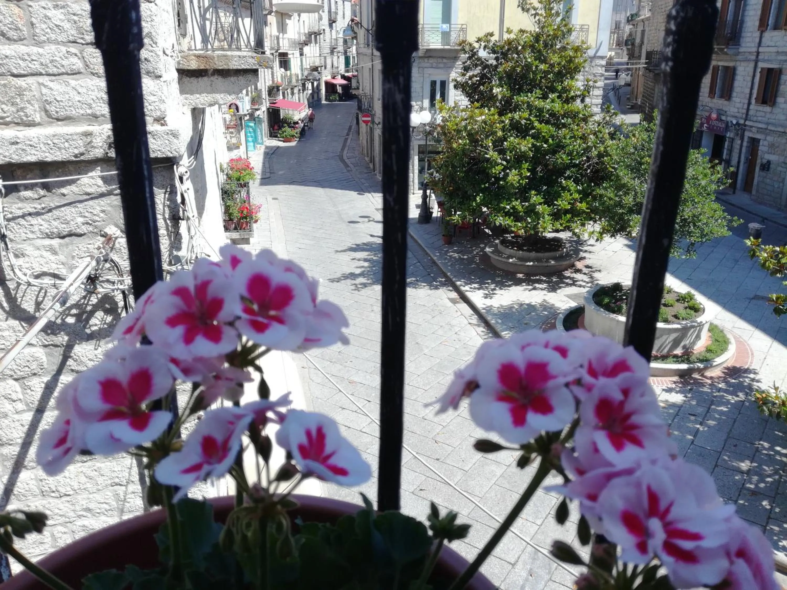 View (from property/room) in B&B Piazza di L'Ara