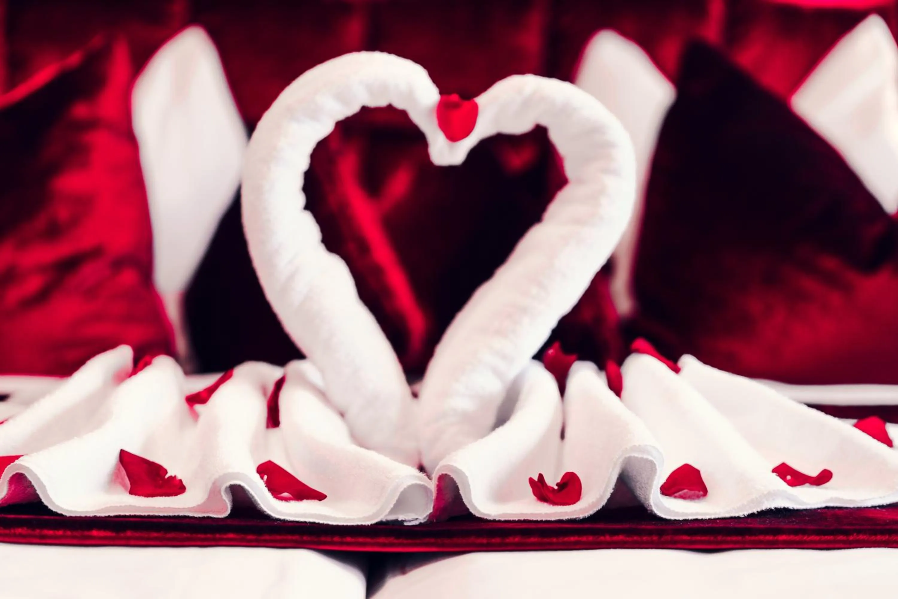 Banquet/Function facilities in Dreilandhof