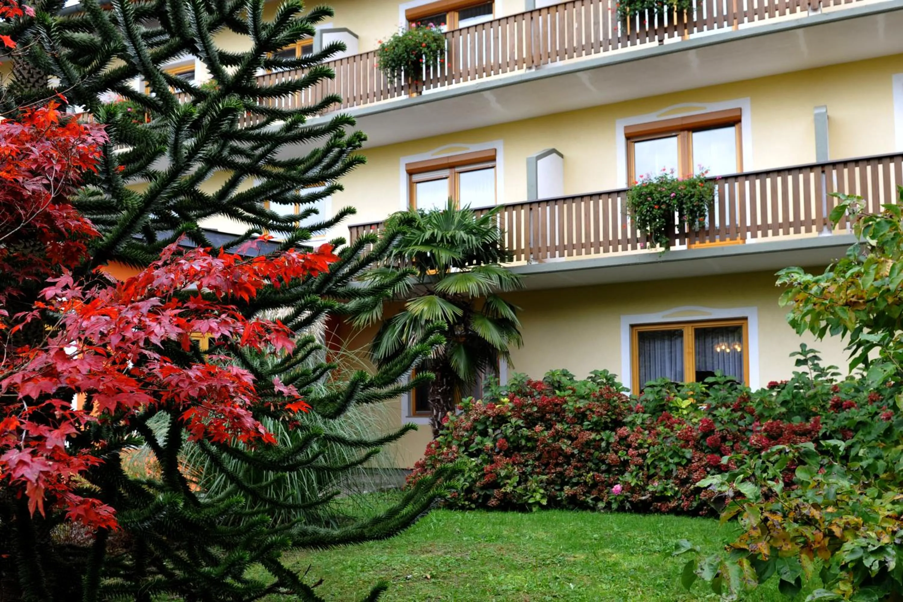 Property building in Dreilandhof