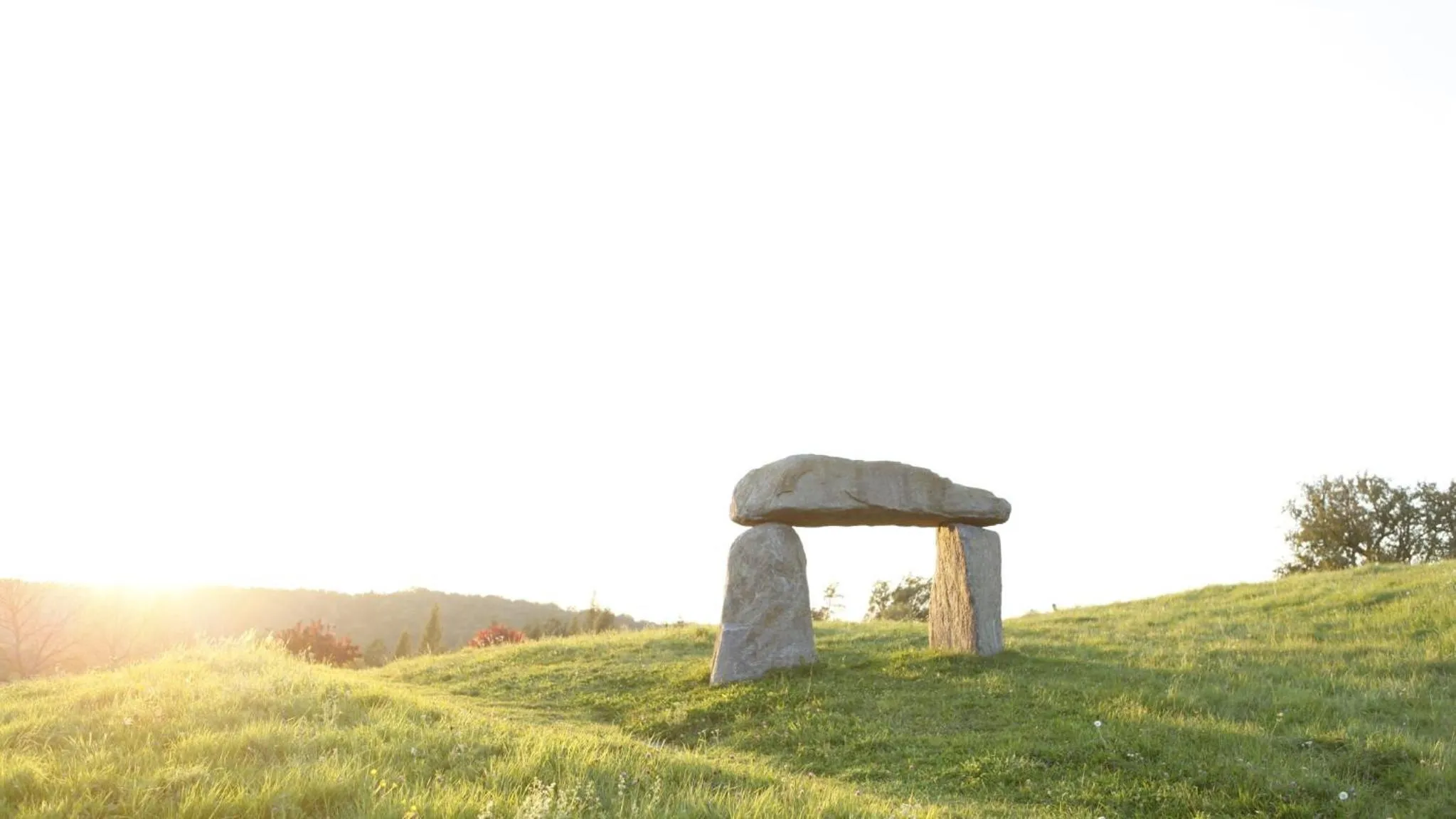 Spa and wellness centre/facilities in Dreilandhof