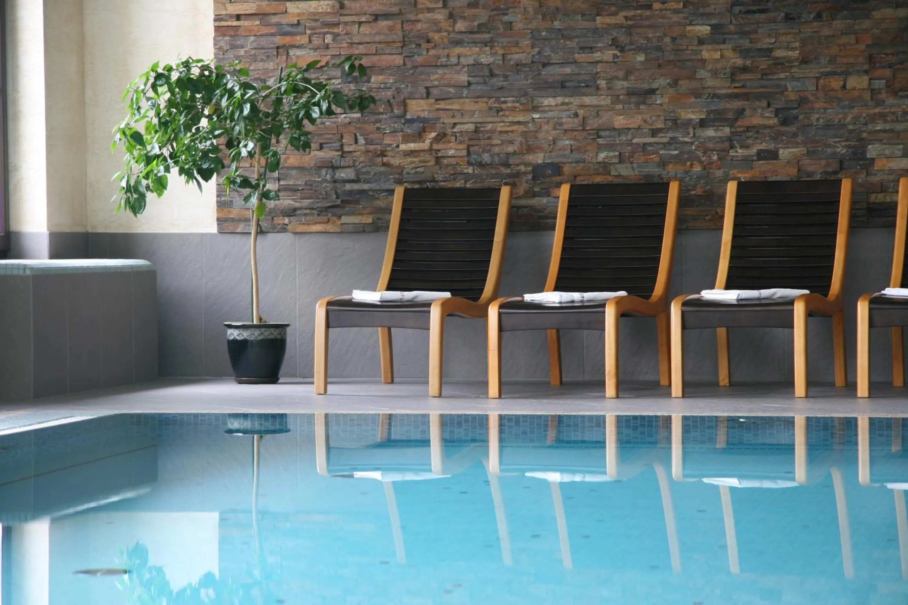  in Hotel Elbrus Spa & Wellness