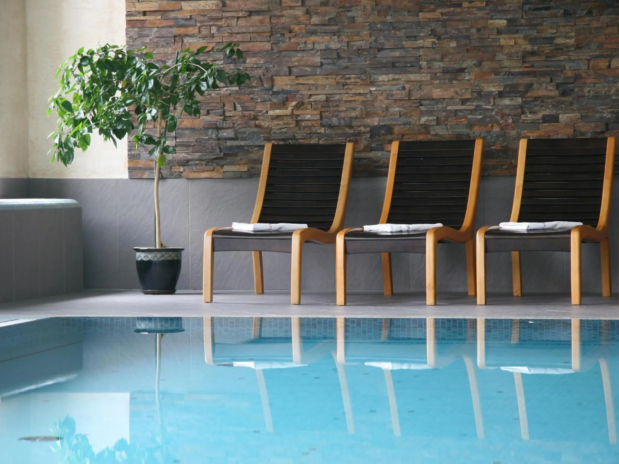 Swimming pool in Hotel Elbrus Spa & Wellness