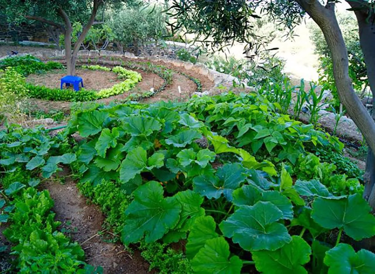 Activities in Good Life Greece Eco Villas