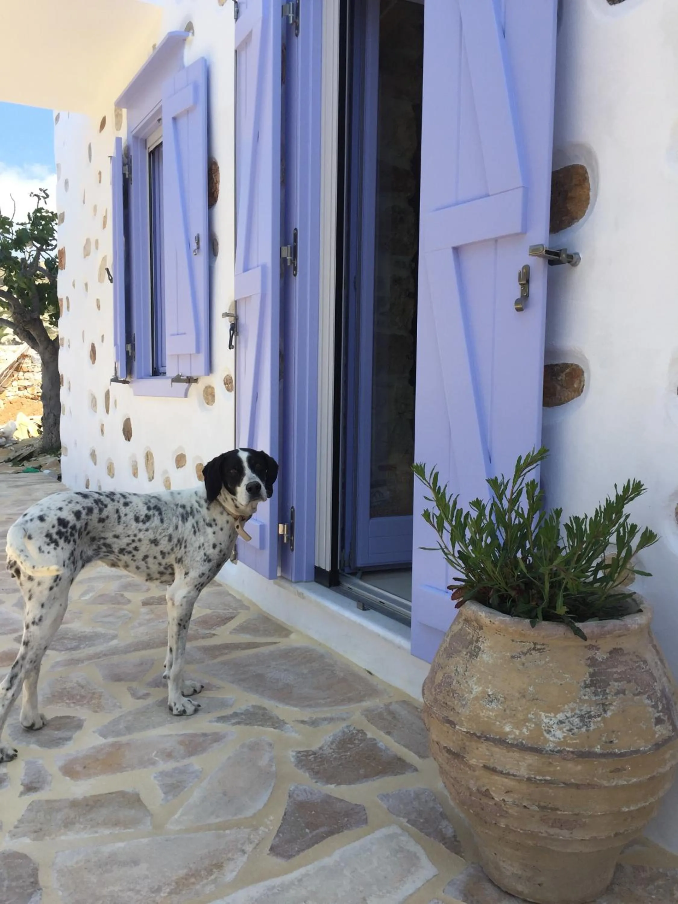 Garden in Good Life Greece Eco Villas