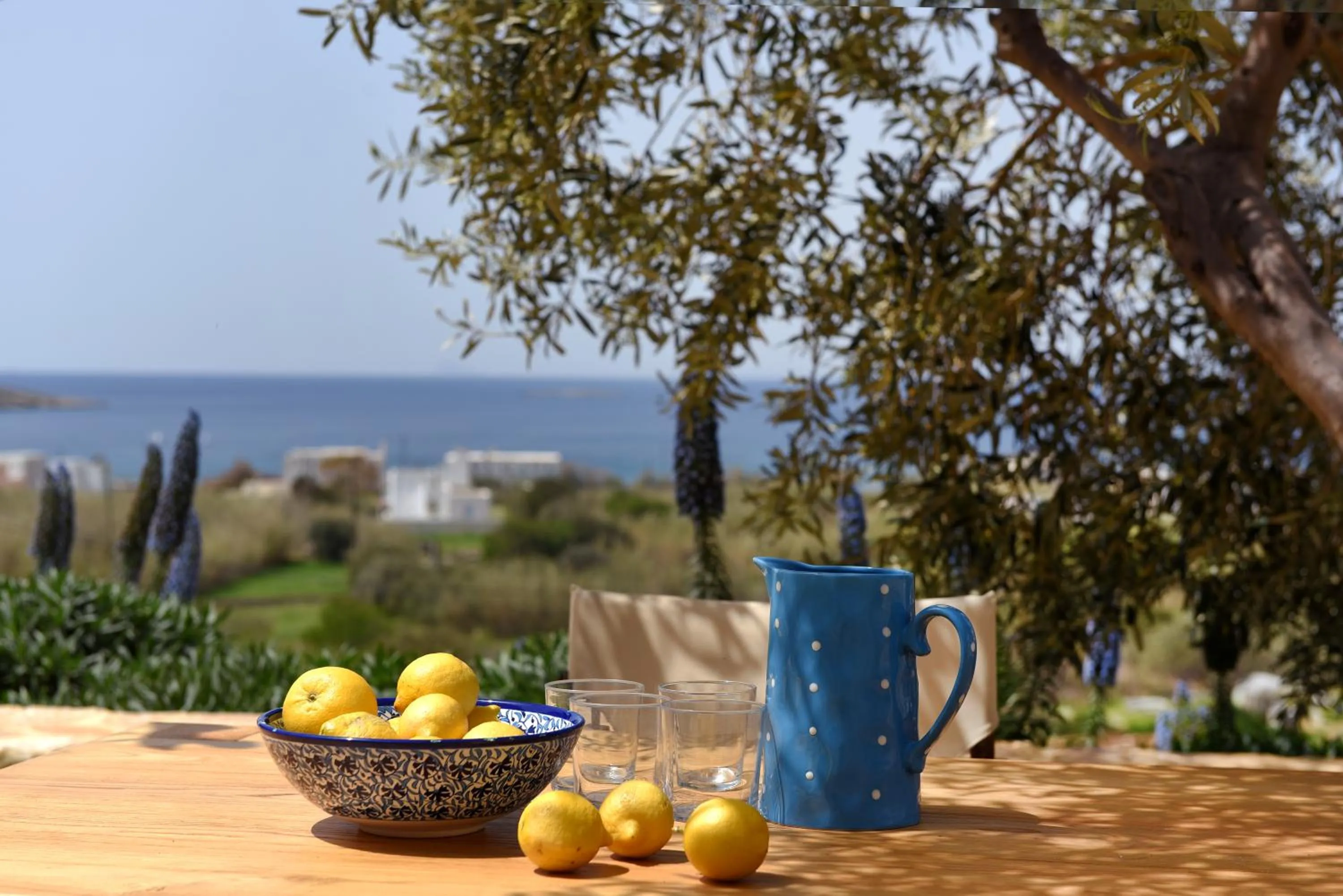 View (from property/room) in Good Life Greece Eco Villas