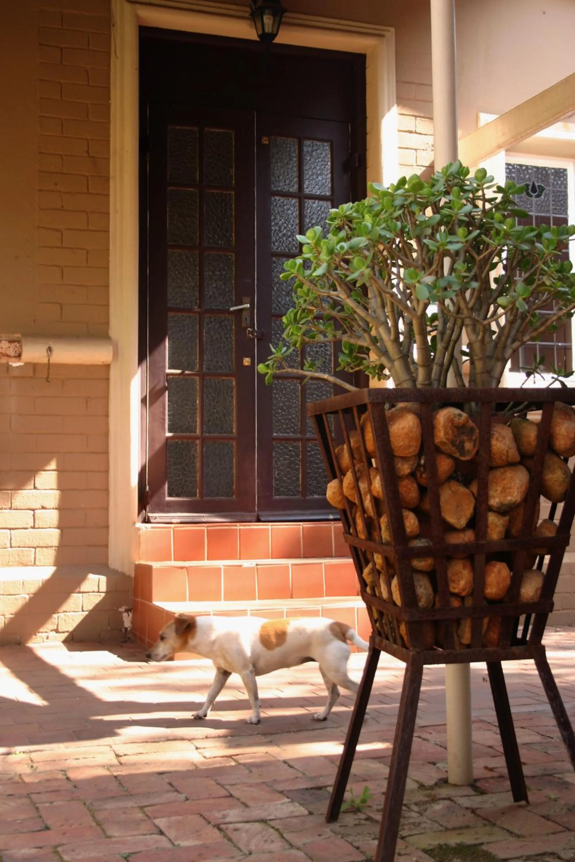 Garden in The Village in Hatfield