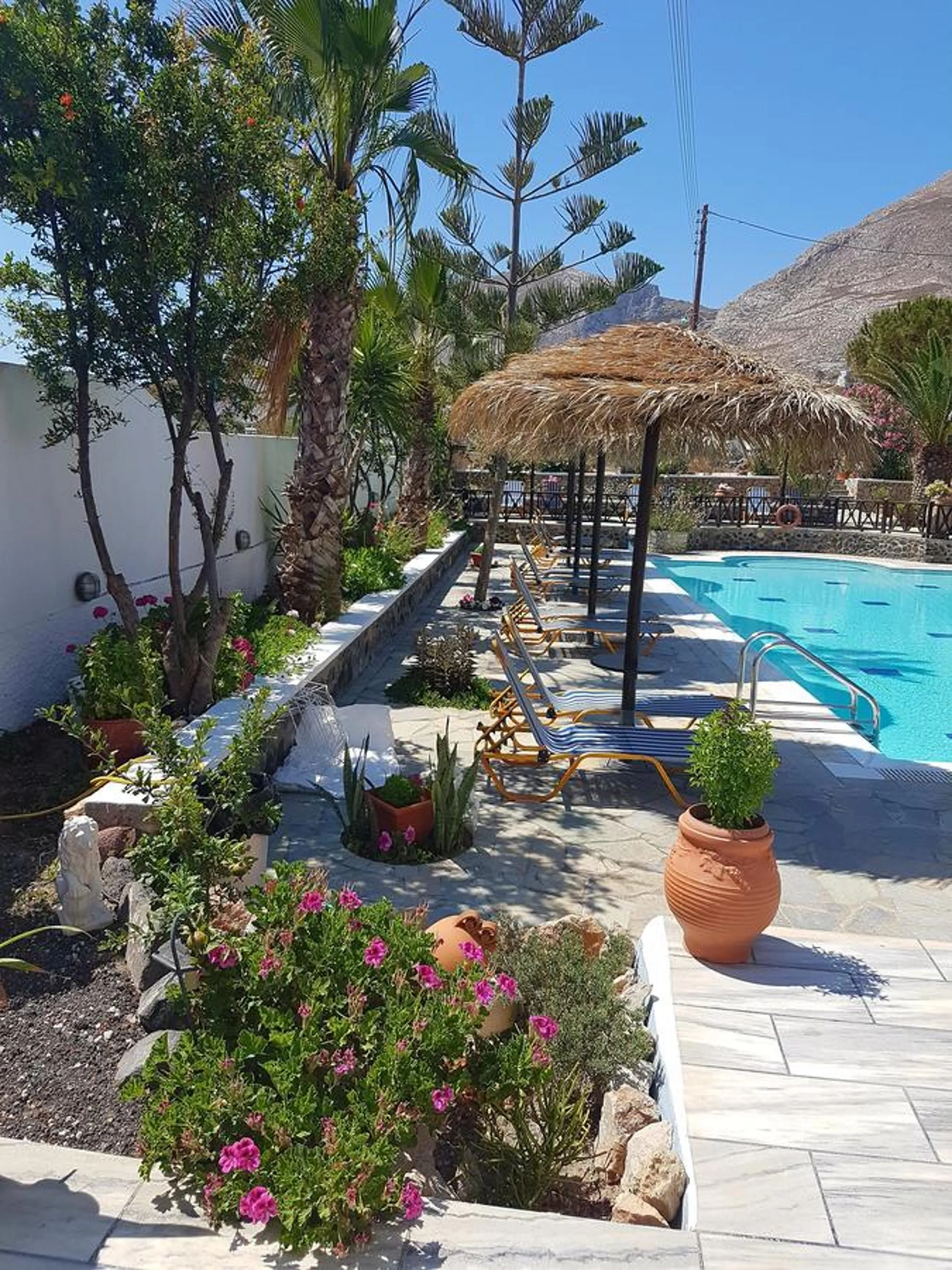 Garden in Ira Apartments