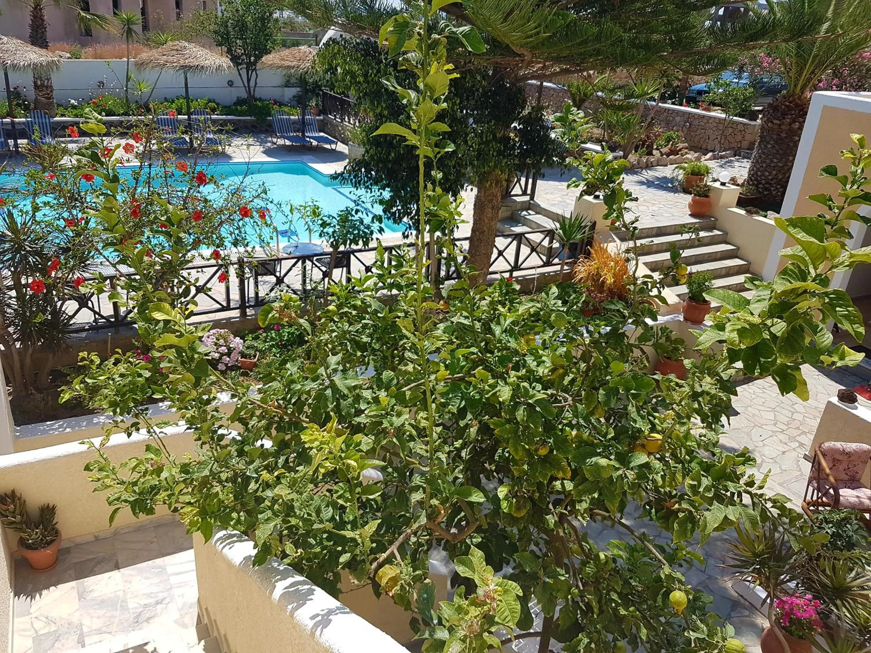 Pool view in Ira Apartments