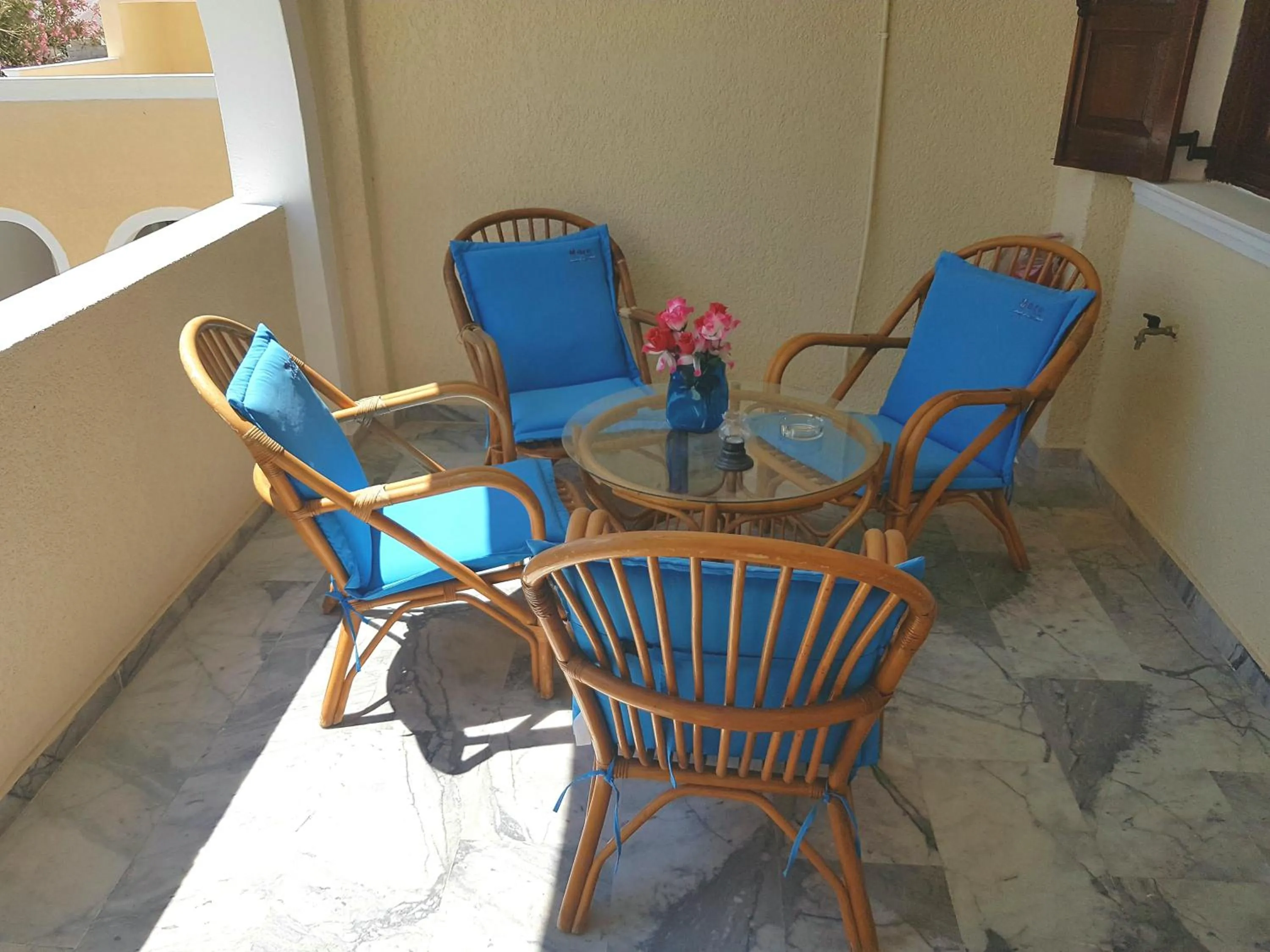 Balcony/Terrace in Ira Apartments