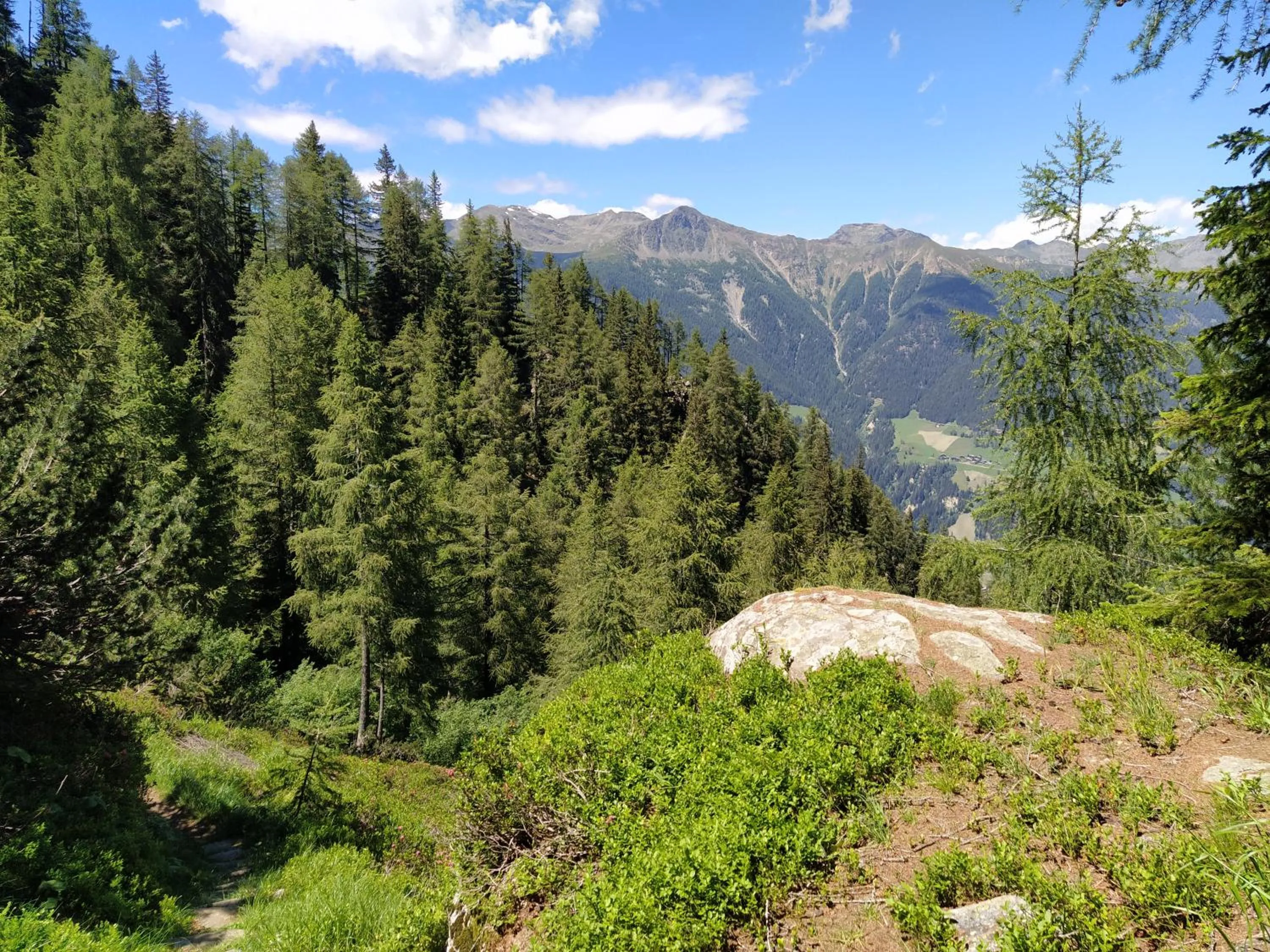 Natural landscape in Familienhotel Viktoria
