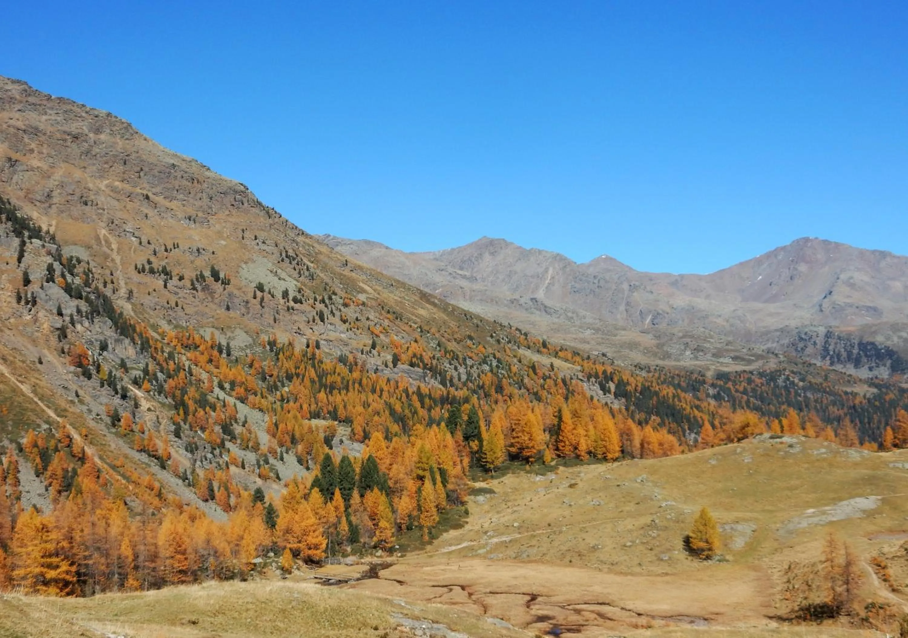 Other in Familienhotel Viktoria