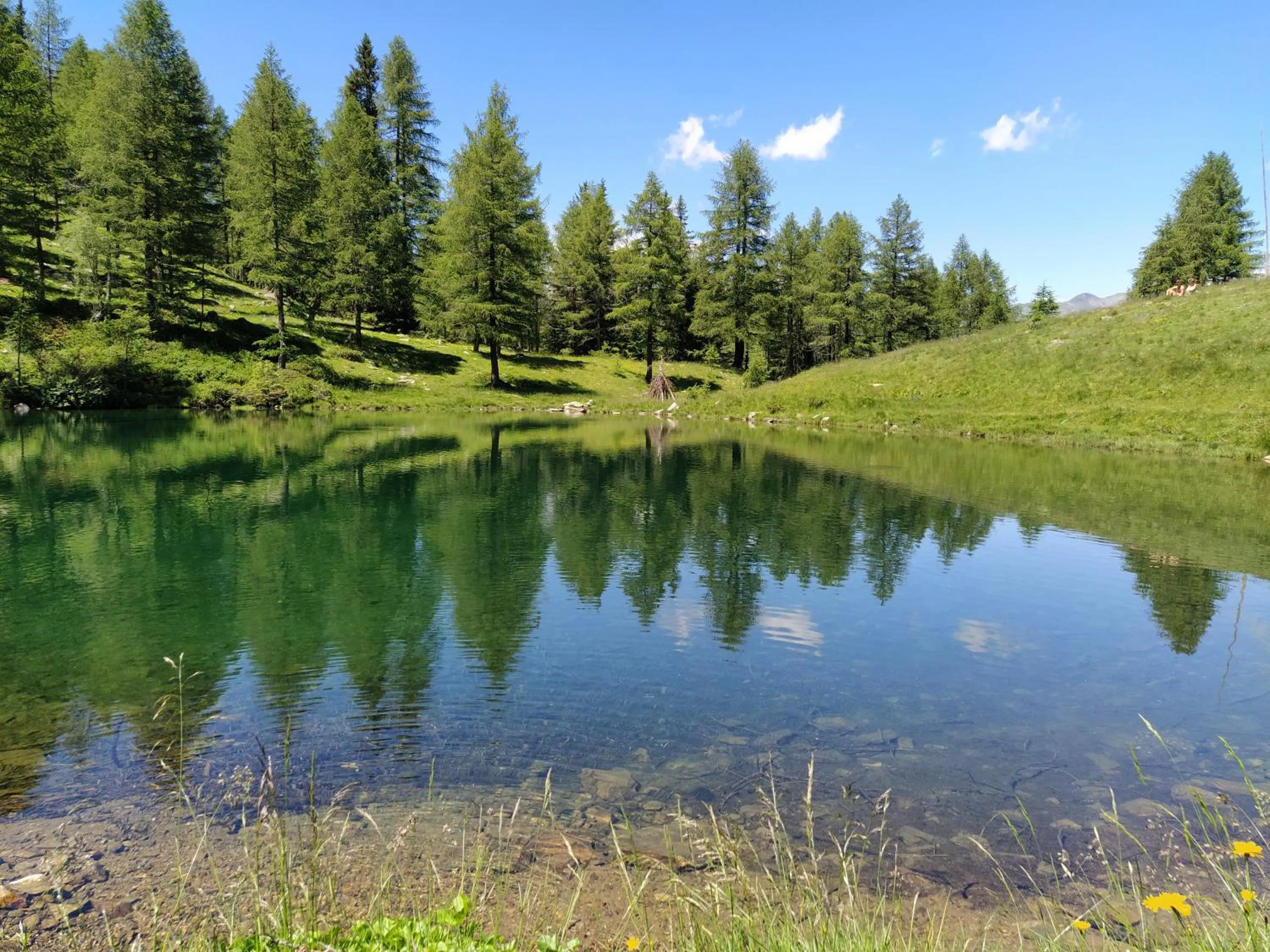Natural landscape in Familienhotel Viktoria