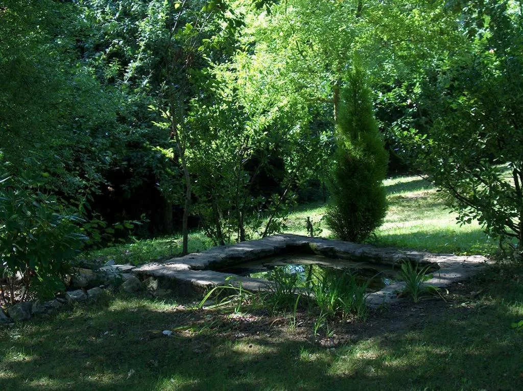 Garden in Chateau-Gaillard