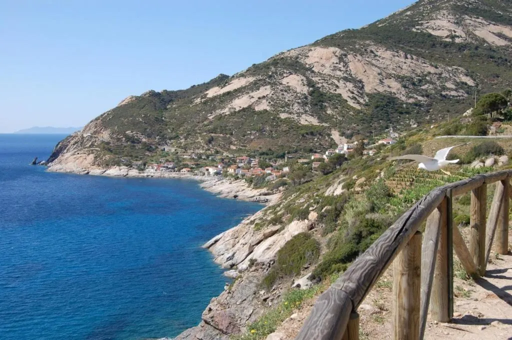 Natural landscape in Hotel Aurora