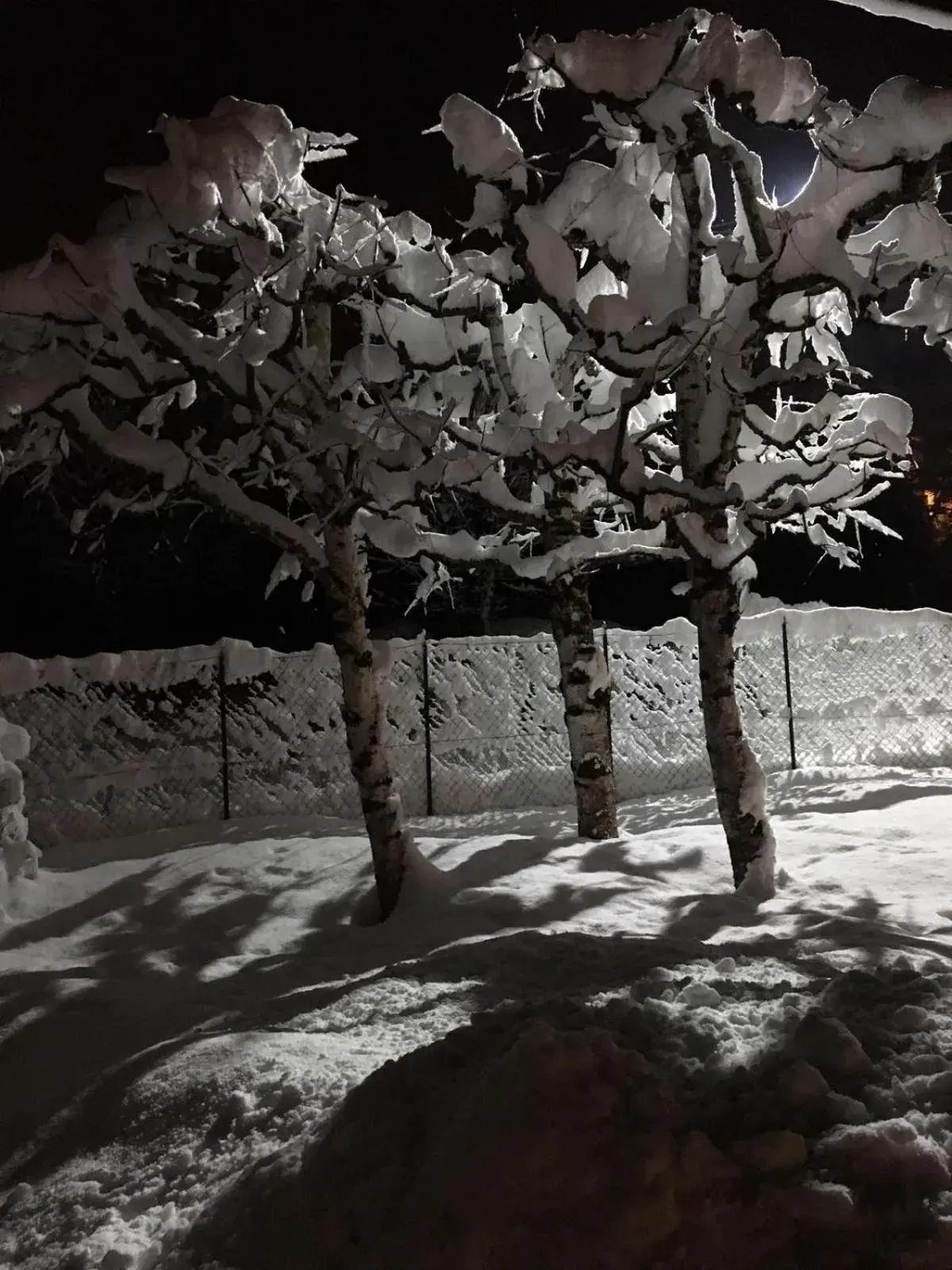 B&B GioAnn B&B GioAnn