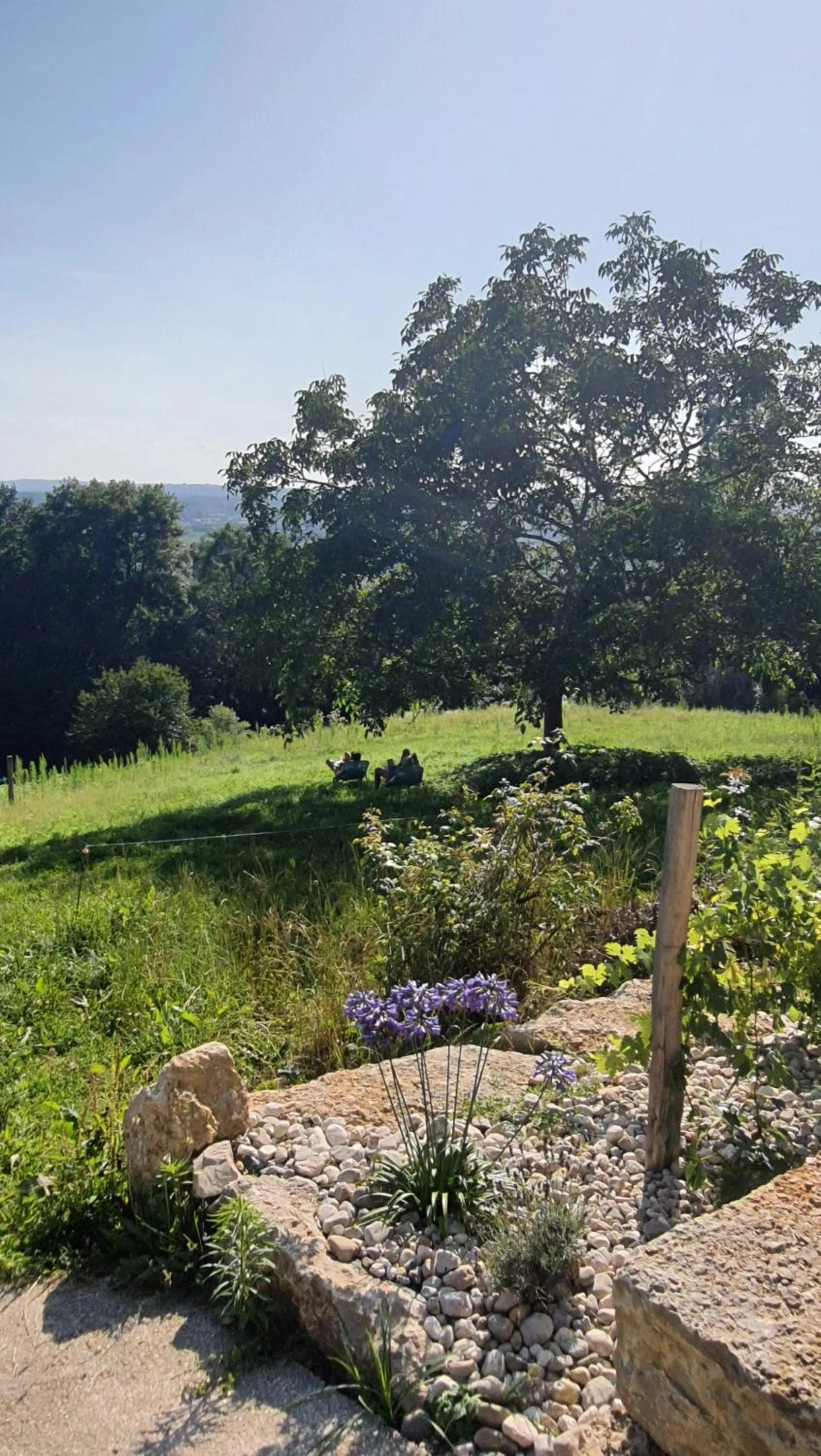 Garden in La Parenthèse - Gîte de la Sittelle