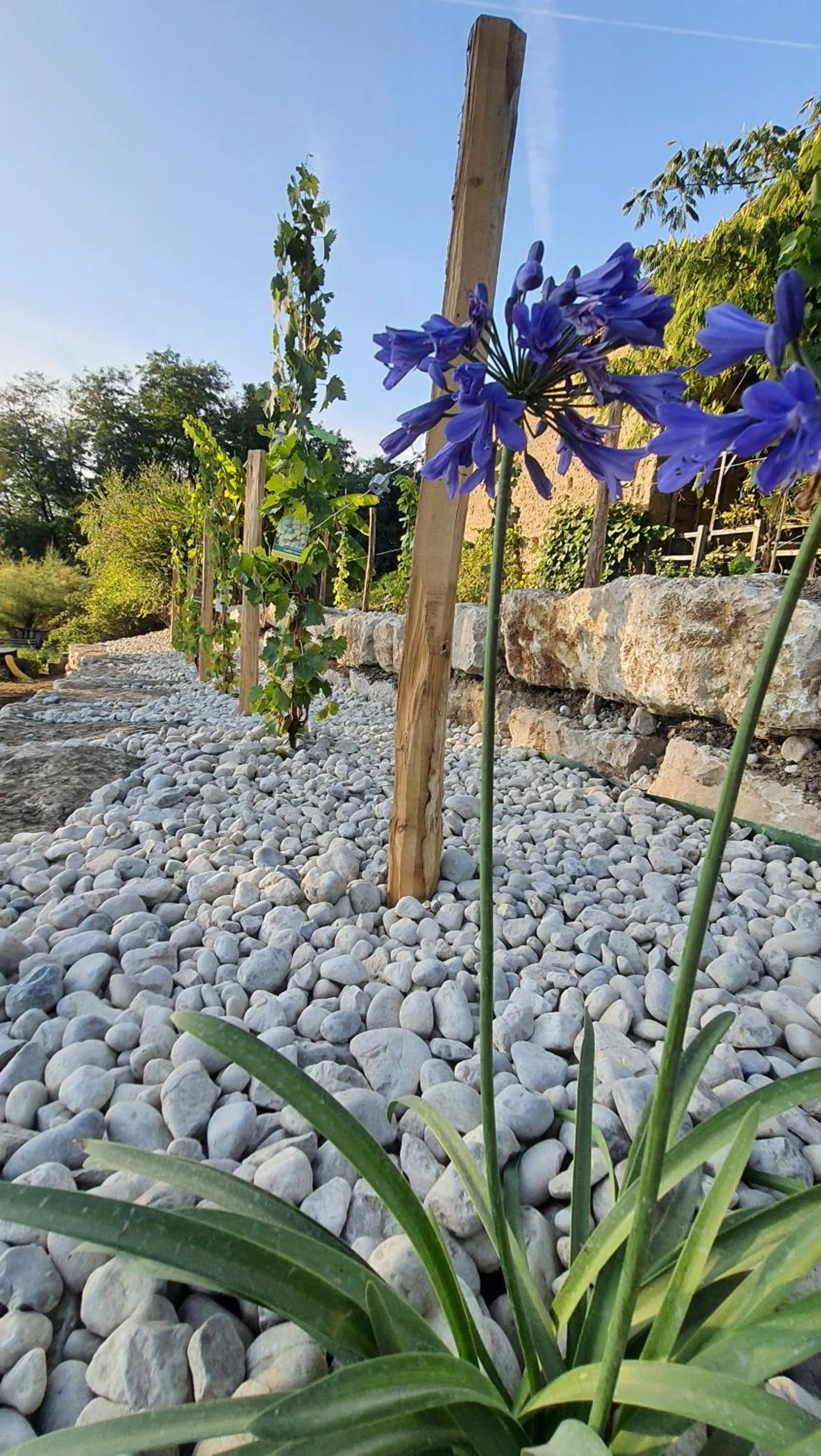 Spring in La Parenthèse - Gîte de la Sittelle