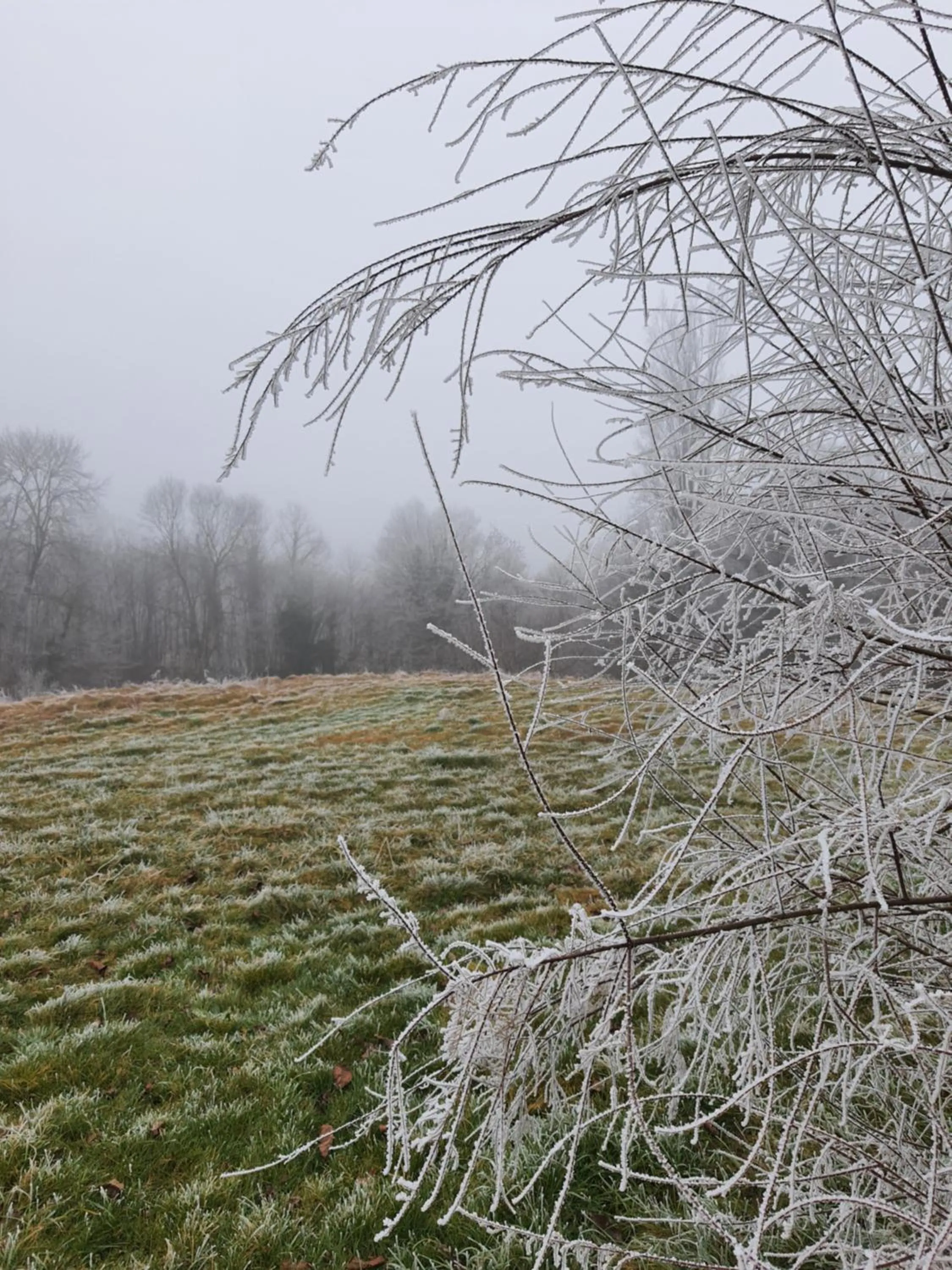 Natural landscape in La Parenthèse - Gîte de la Sittelle