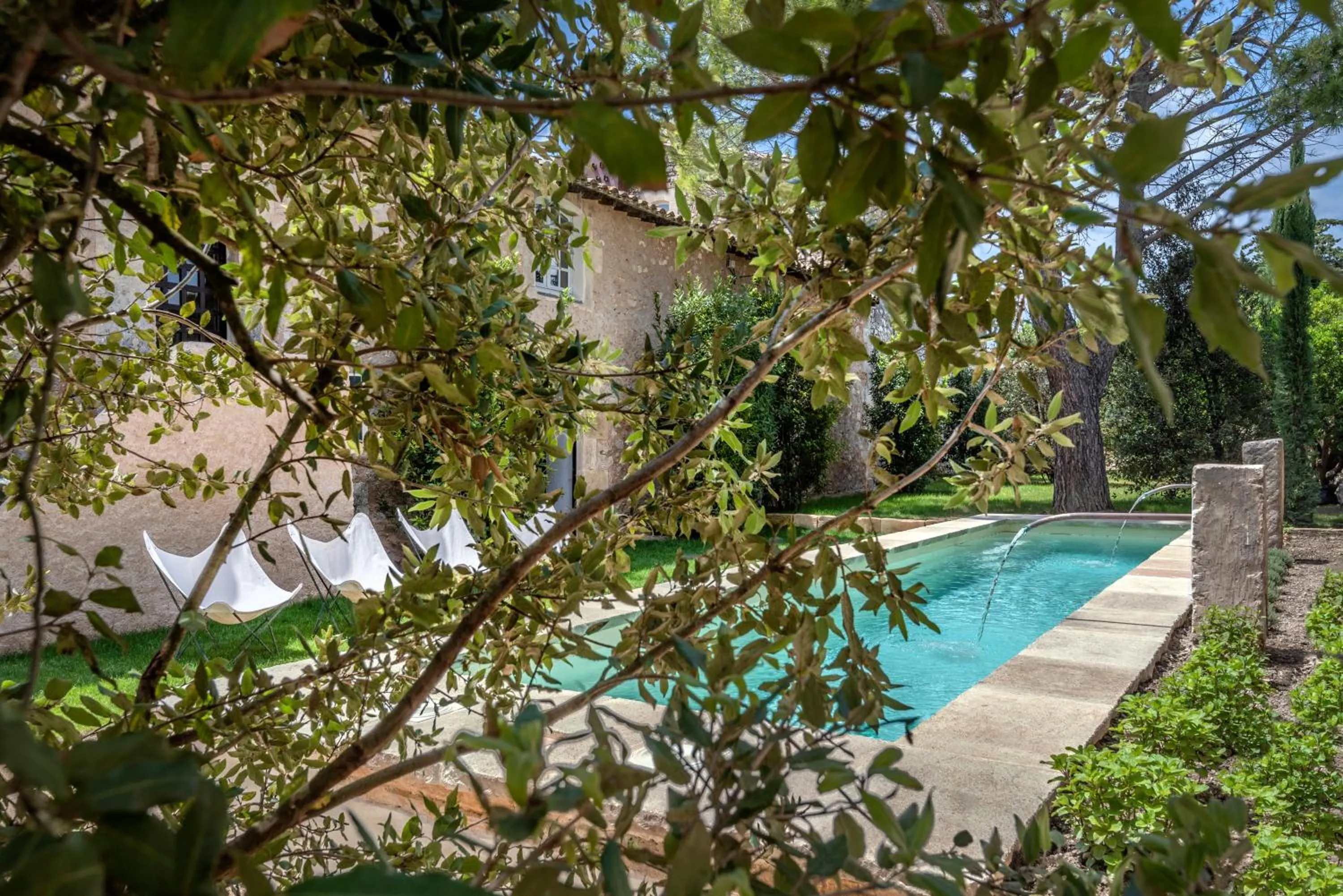 Garden in Les Maisons de l'Hôtel Particulier