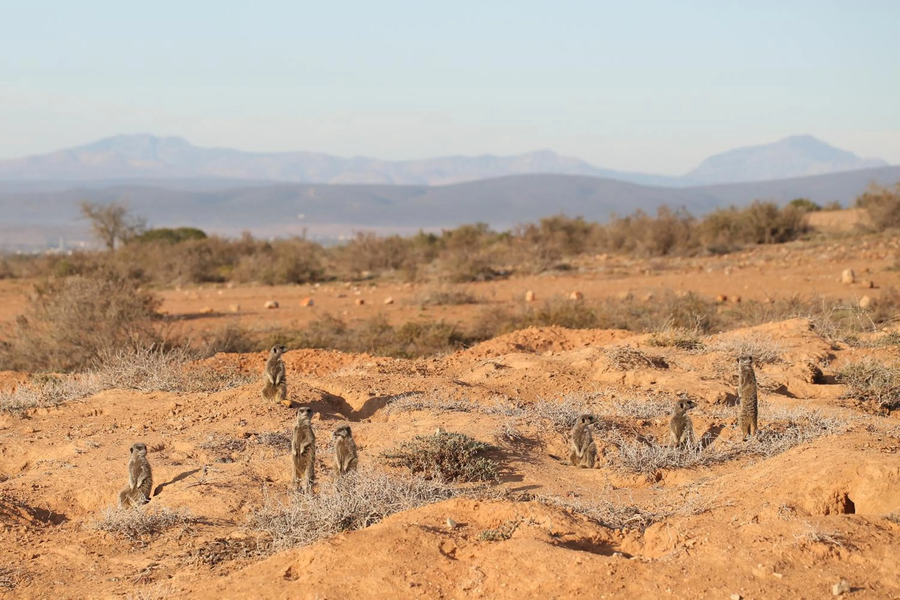 Activities in De Opstal Country Lodge