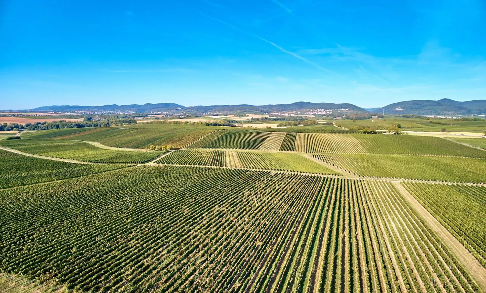 Natural landscape in Weingasthaus Wisser