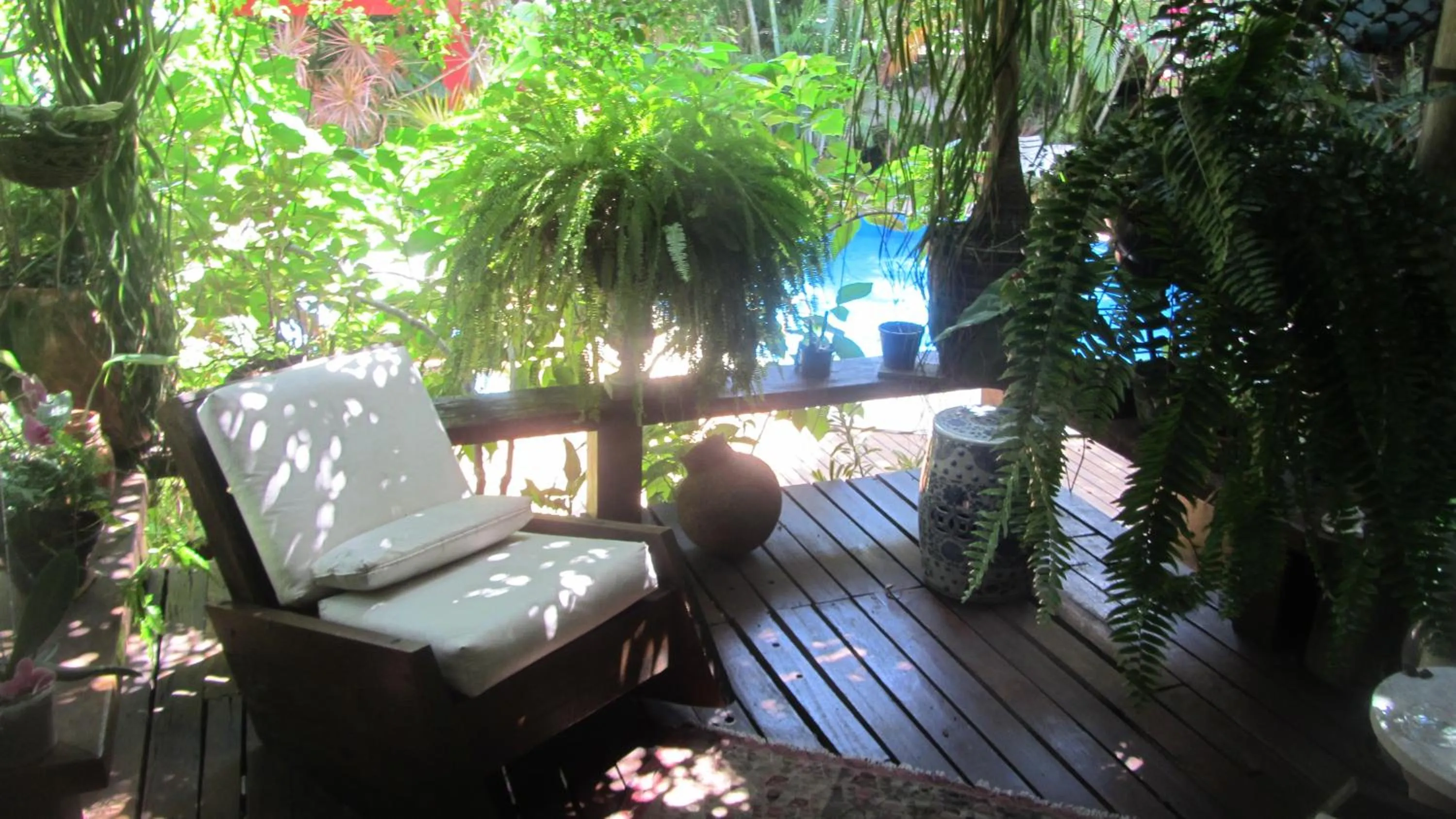 Natural landscape in Pousada Pilar