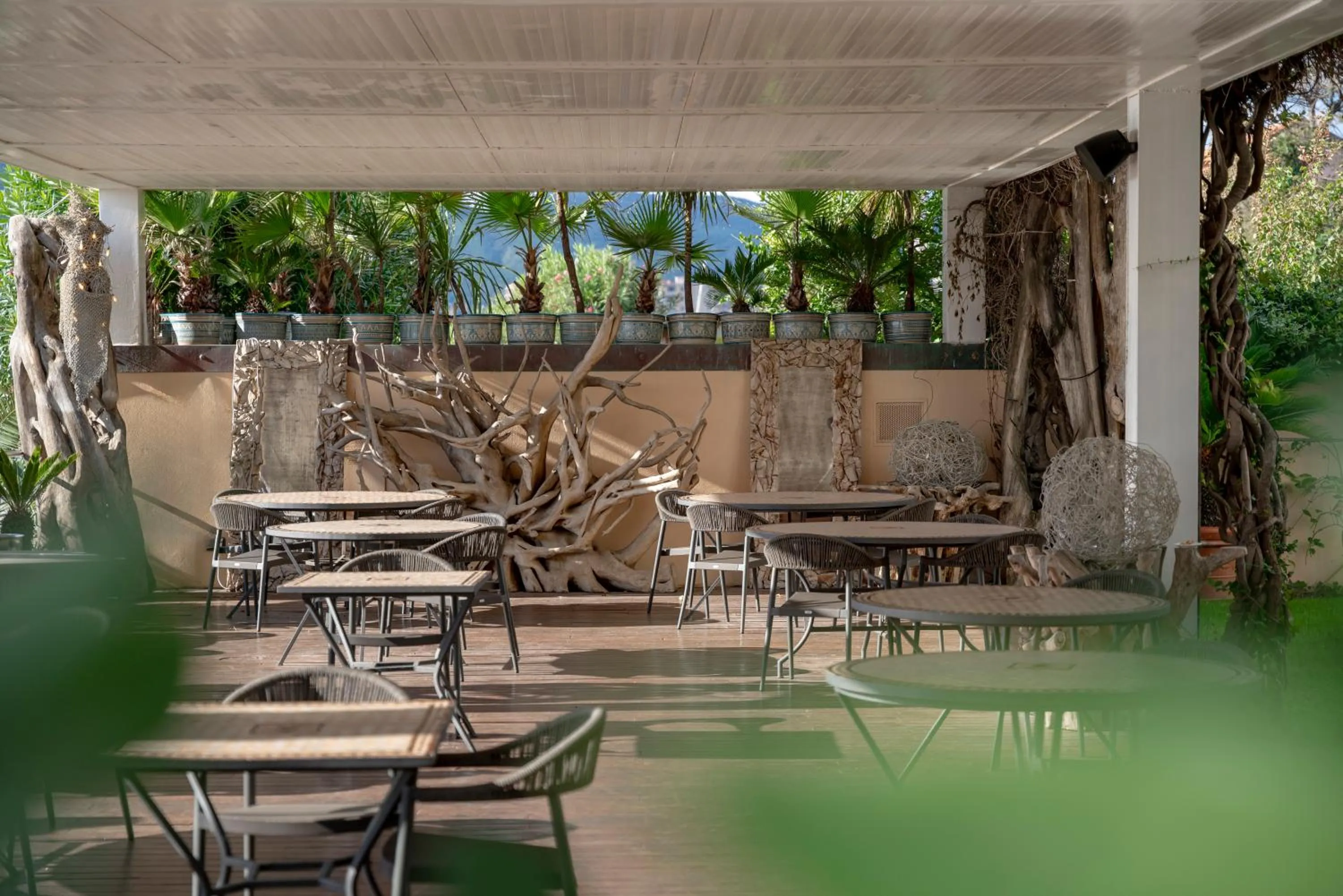 Restaurant/places to eat in Mare Hotel