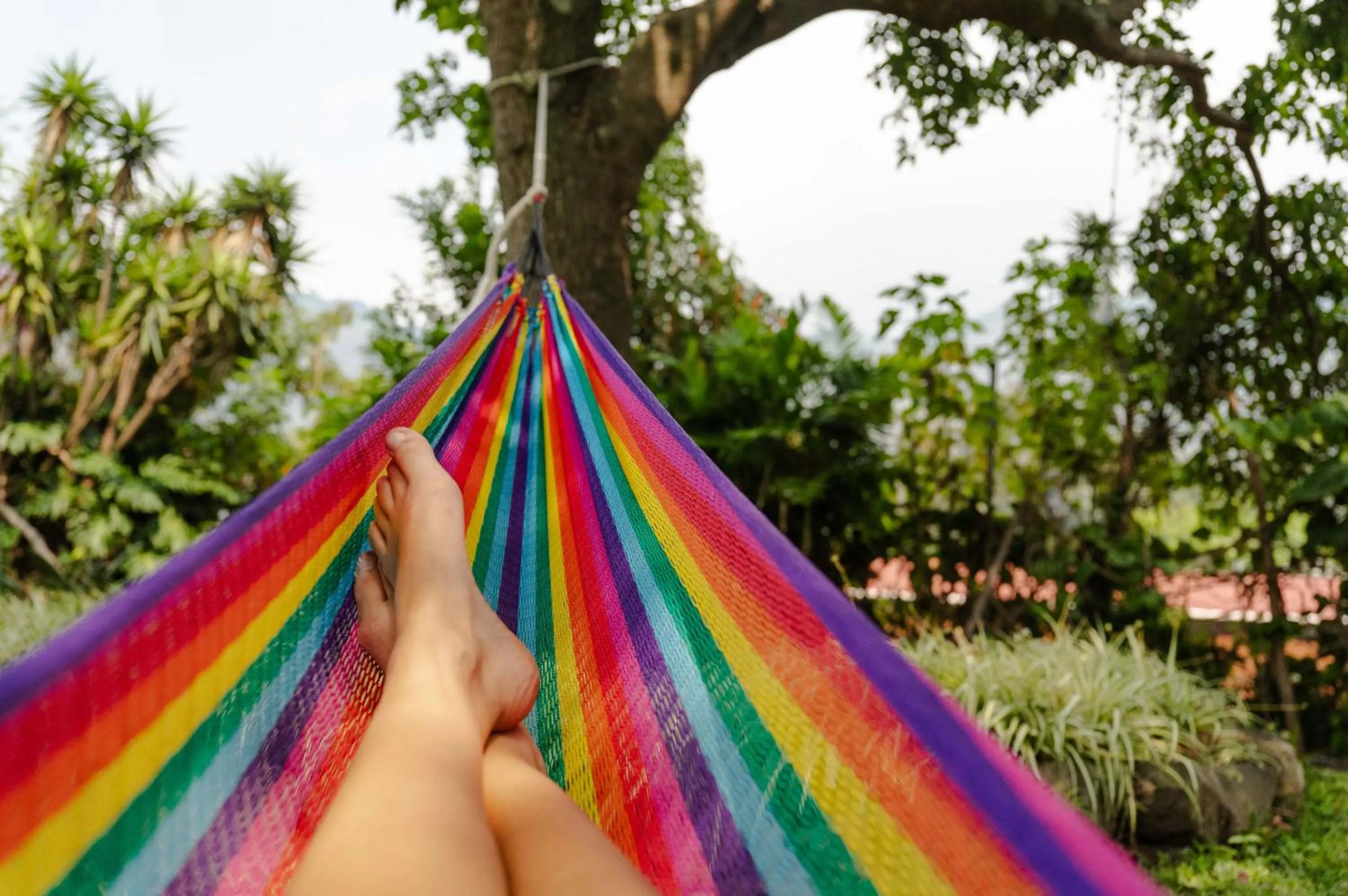 Garden in Hotel Toliman