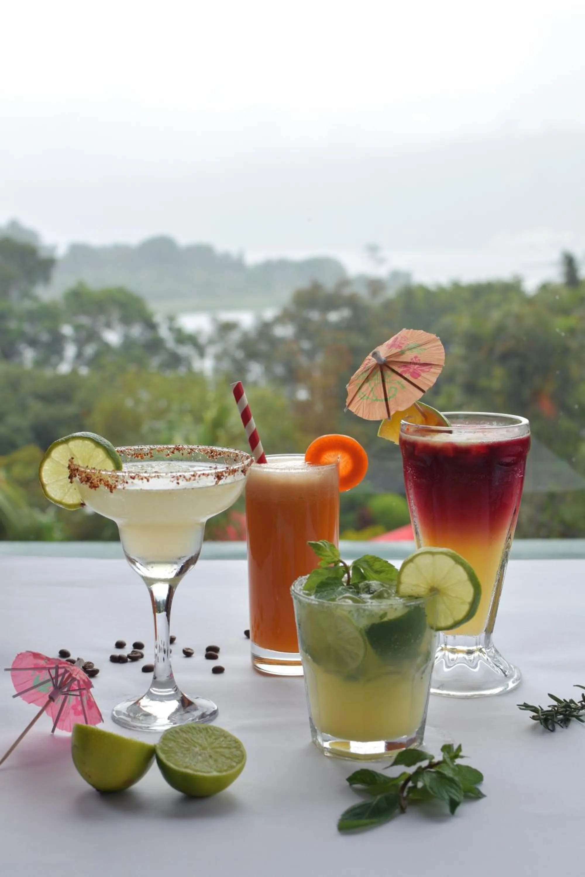 Food and drinks in Hotel Toliman