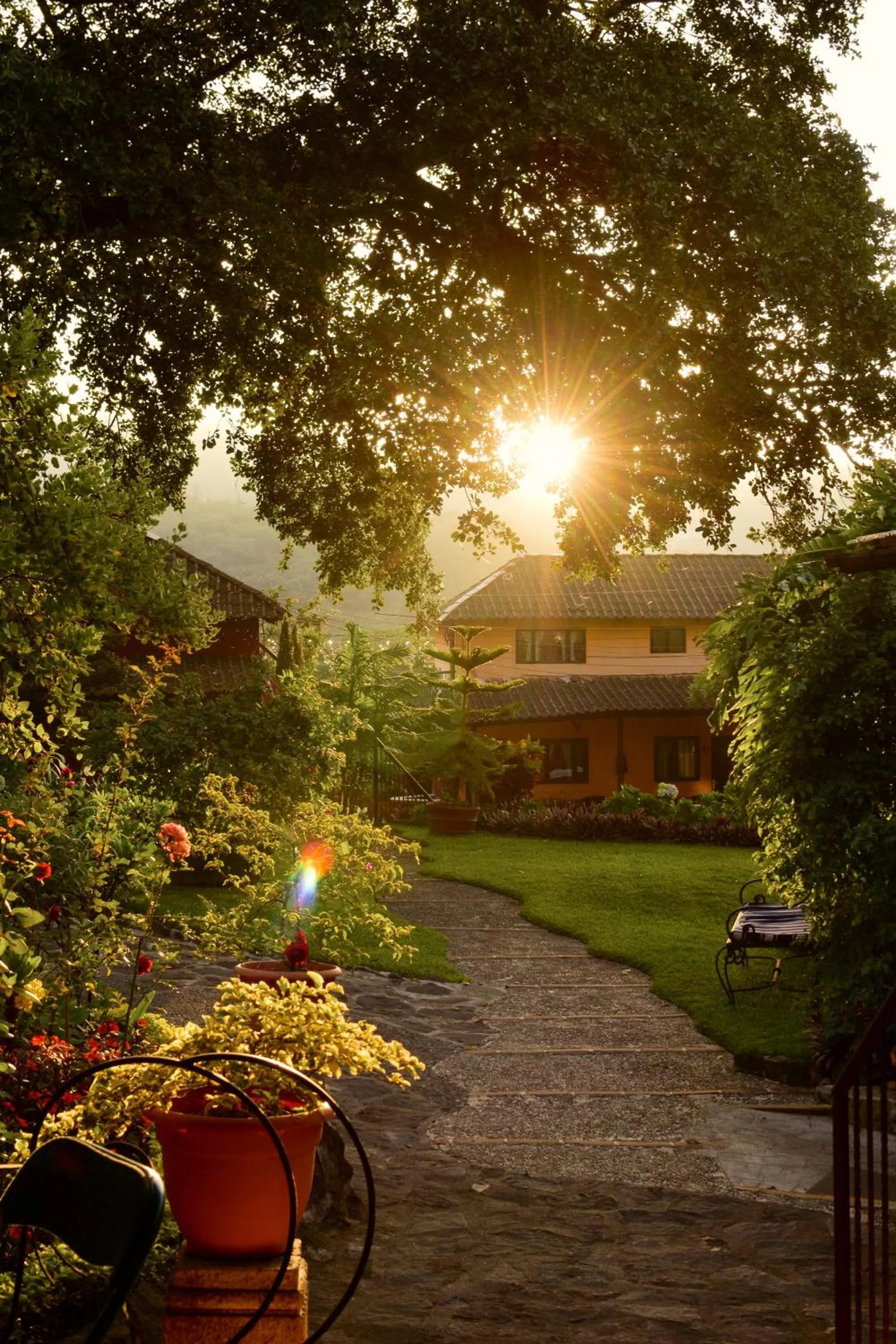 Garden in Hotel Toliman