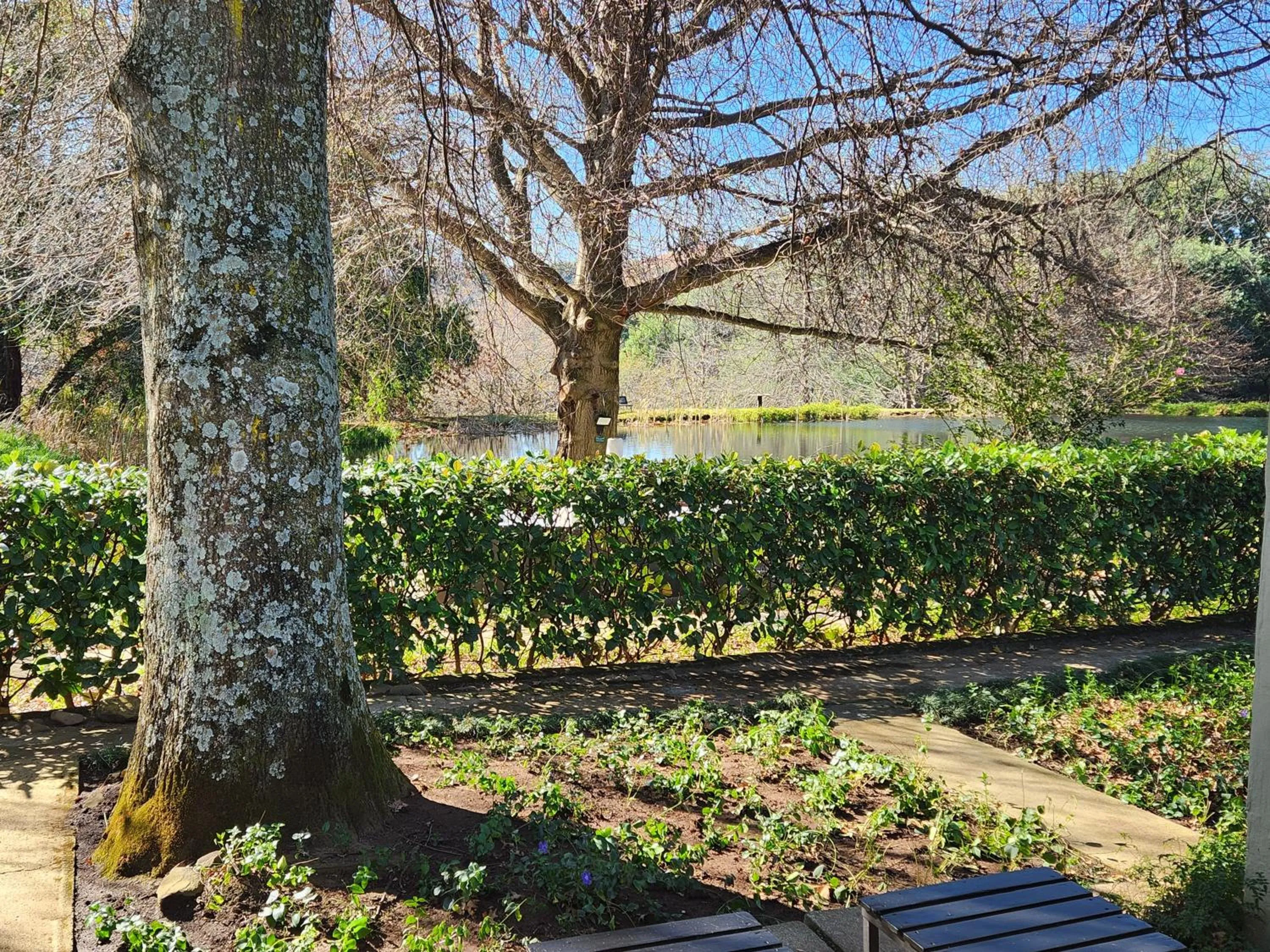 Garden view in Cleopatra Mountain Farmhouse