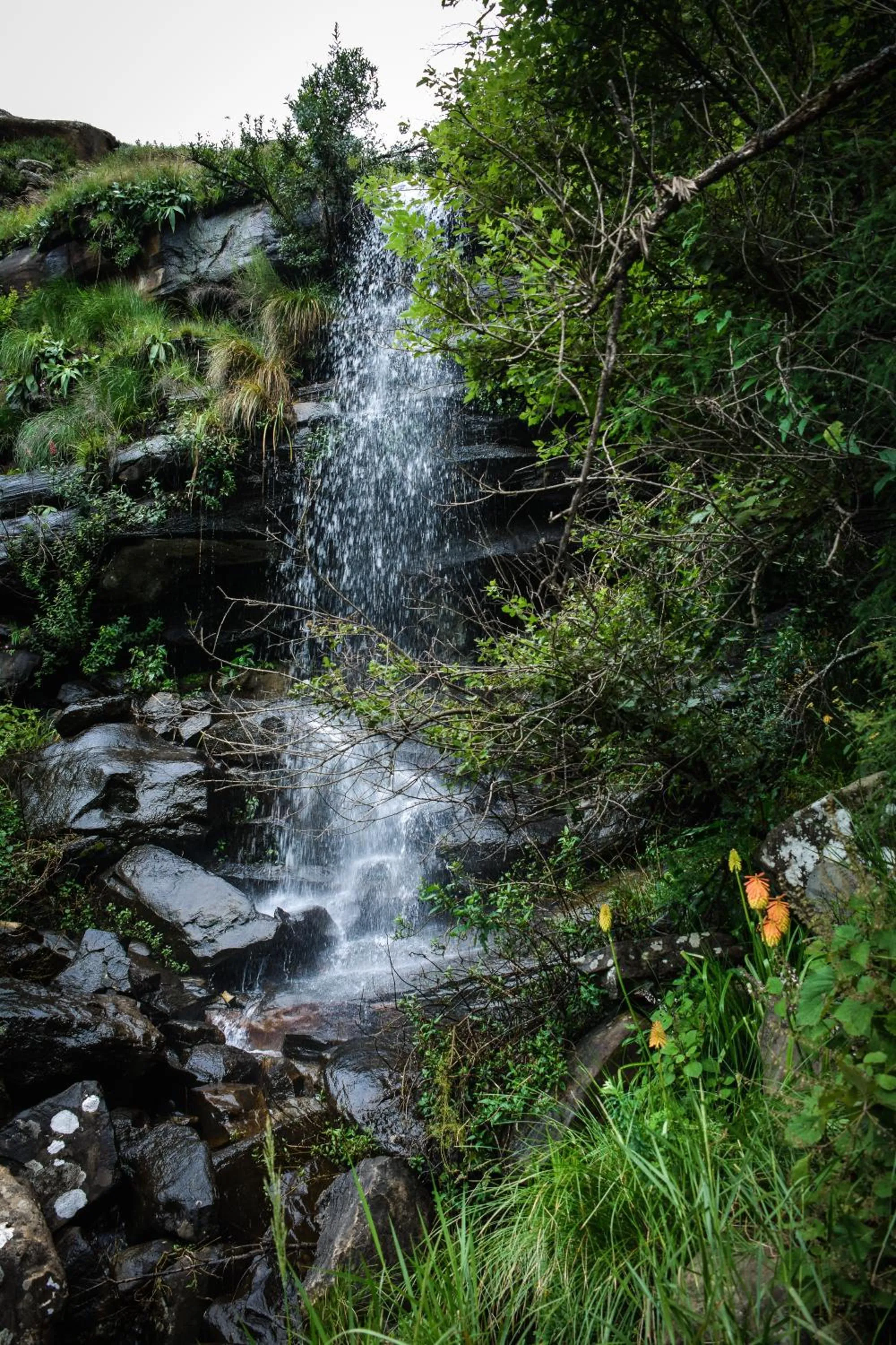 Natural landscape in Cleopatra Mountain Farmhouse