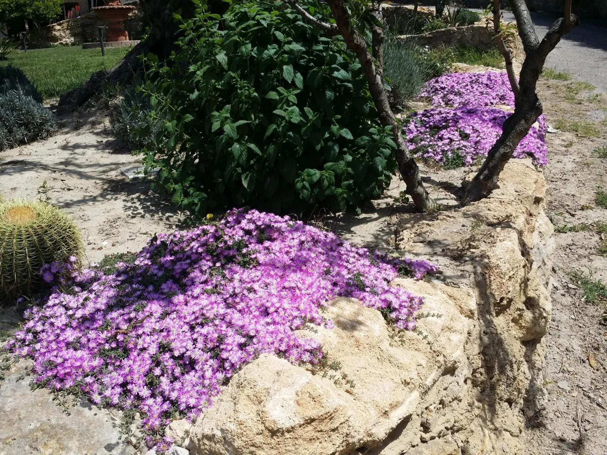 Property building in Le Castella B&B Restaurant