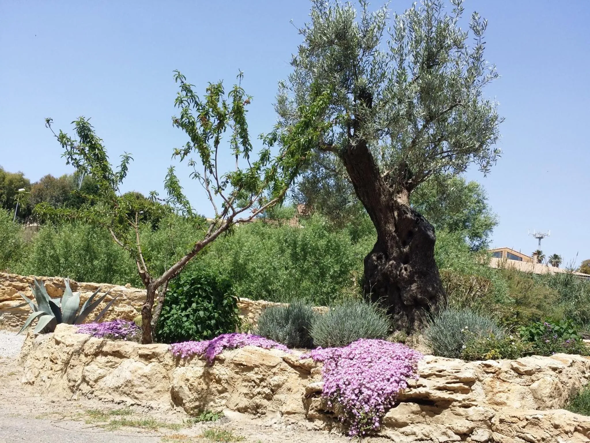 Property building in Le Castella B&B Restaurant