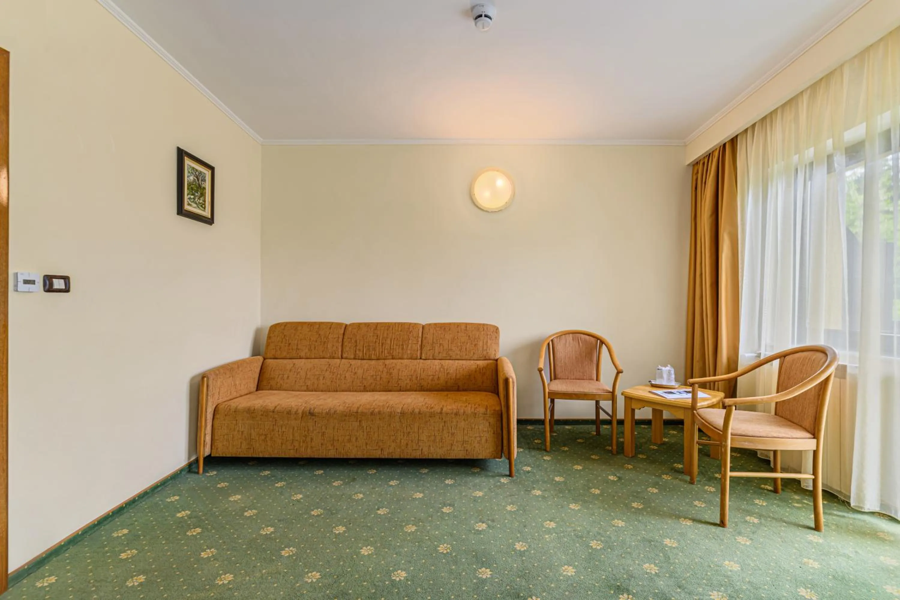 Living room in Hotel Casa Viorel jacuzzi & saunas