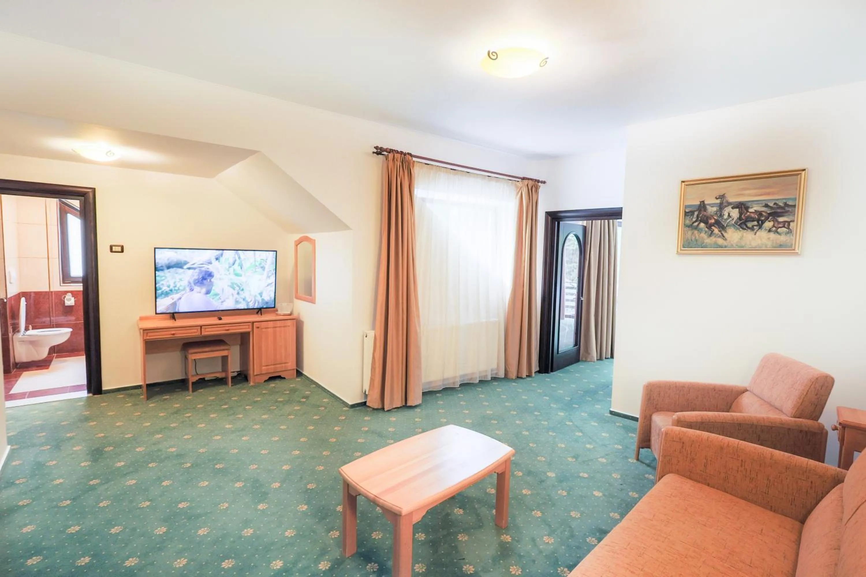 TV and multimedia in Hotel Casa Viorel jacuzzi & saunas