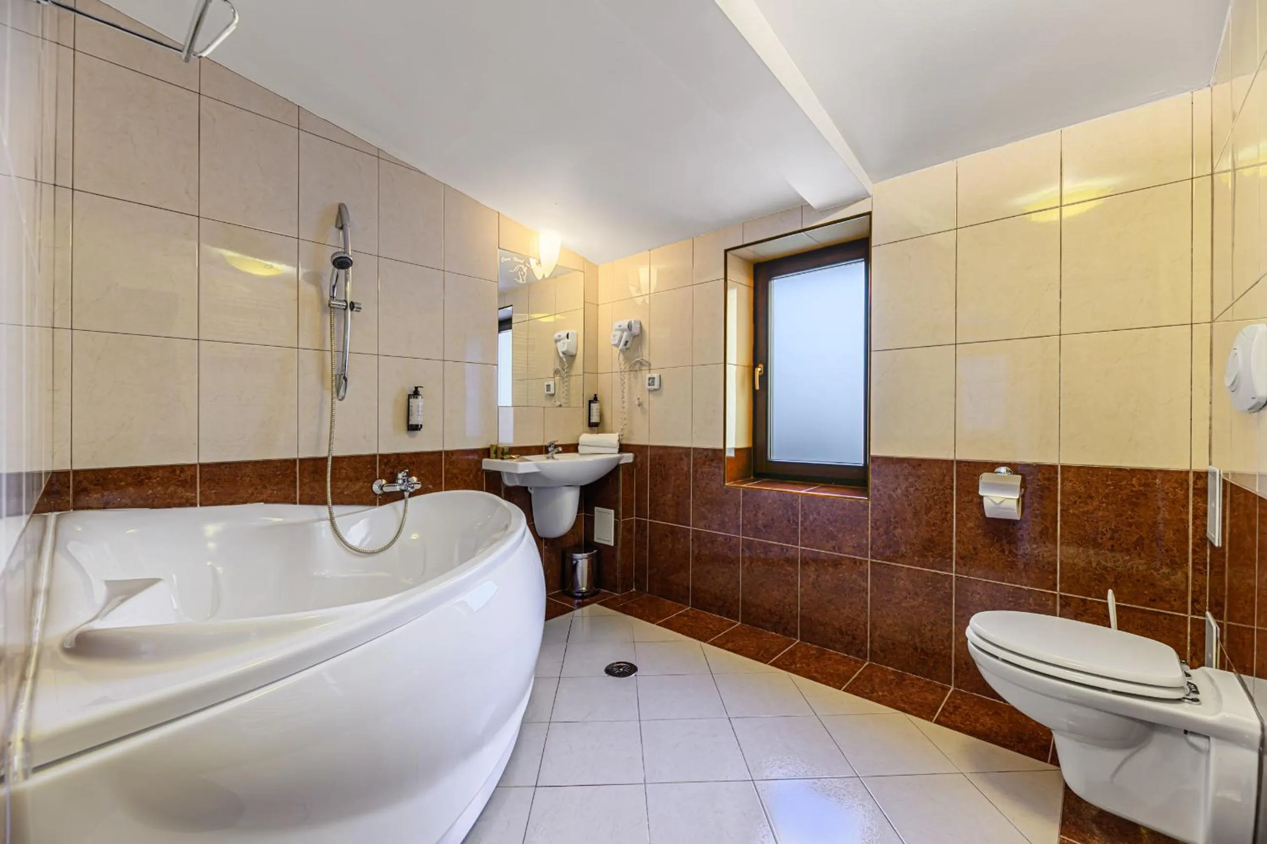 Toilet in Hotel Casa Viorel jacuzzi & saunas