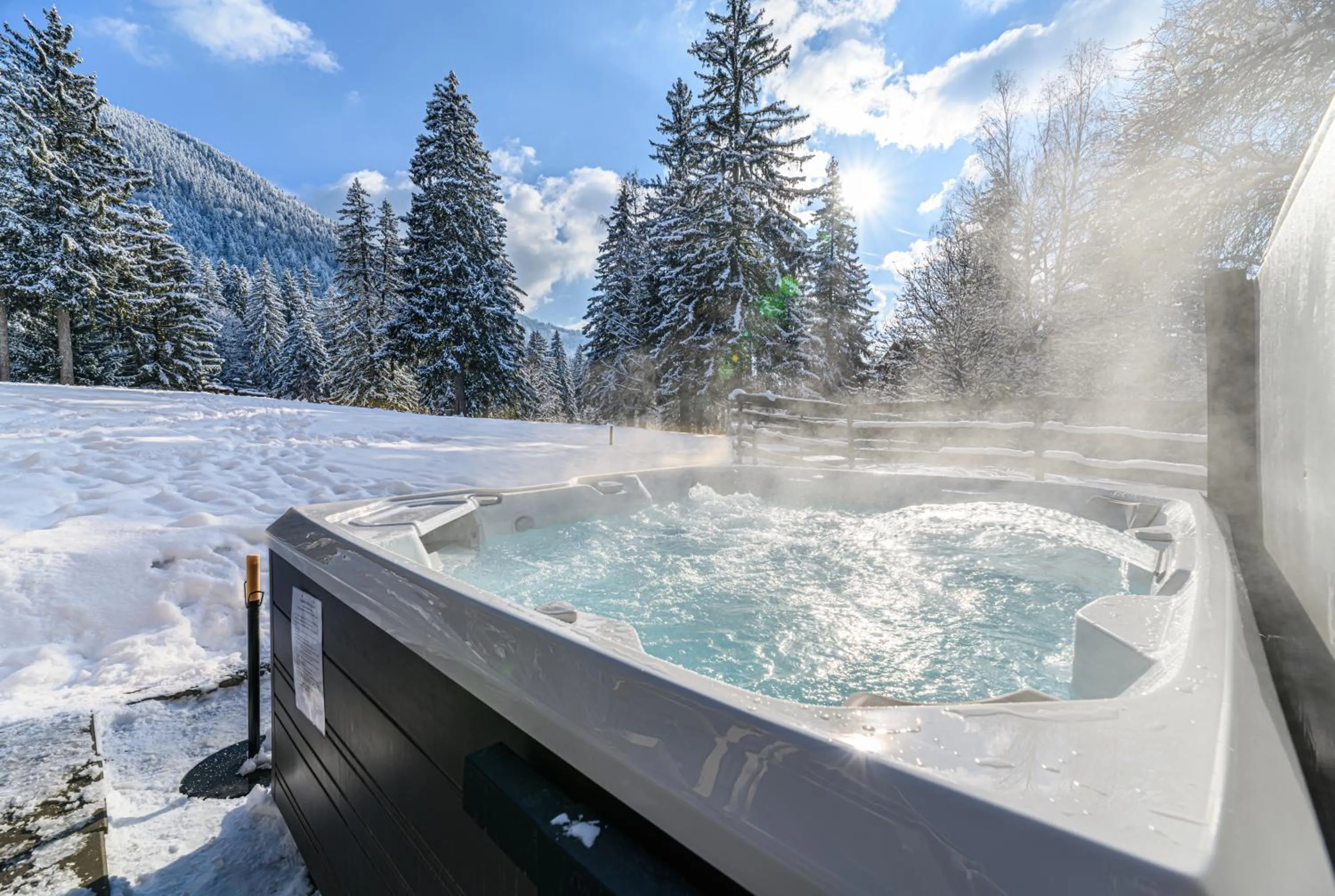 Hotel Casa Viorel jacuzzi & saunas