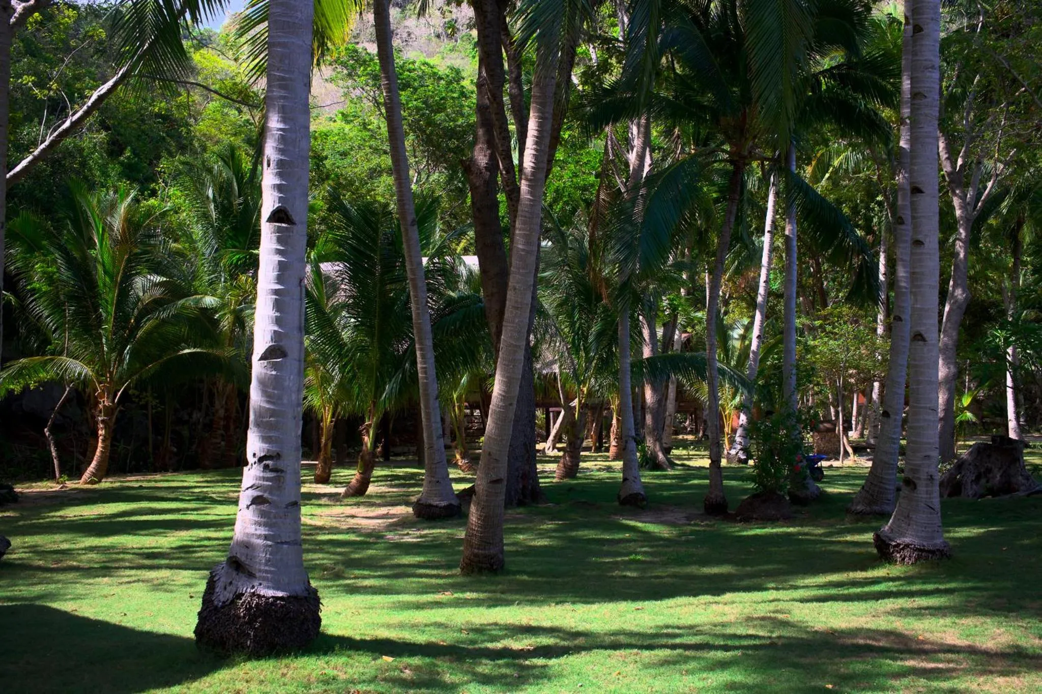 Sangat Island Dive Resort