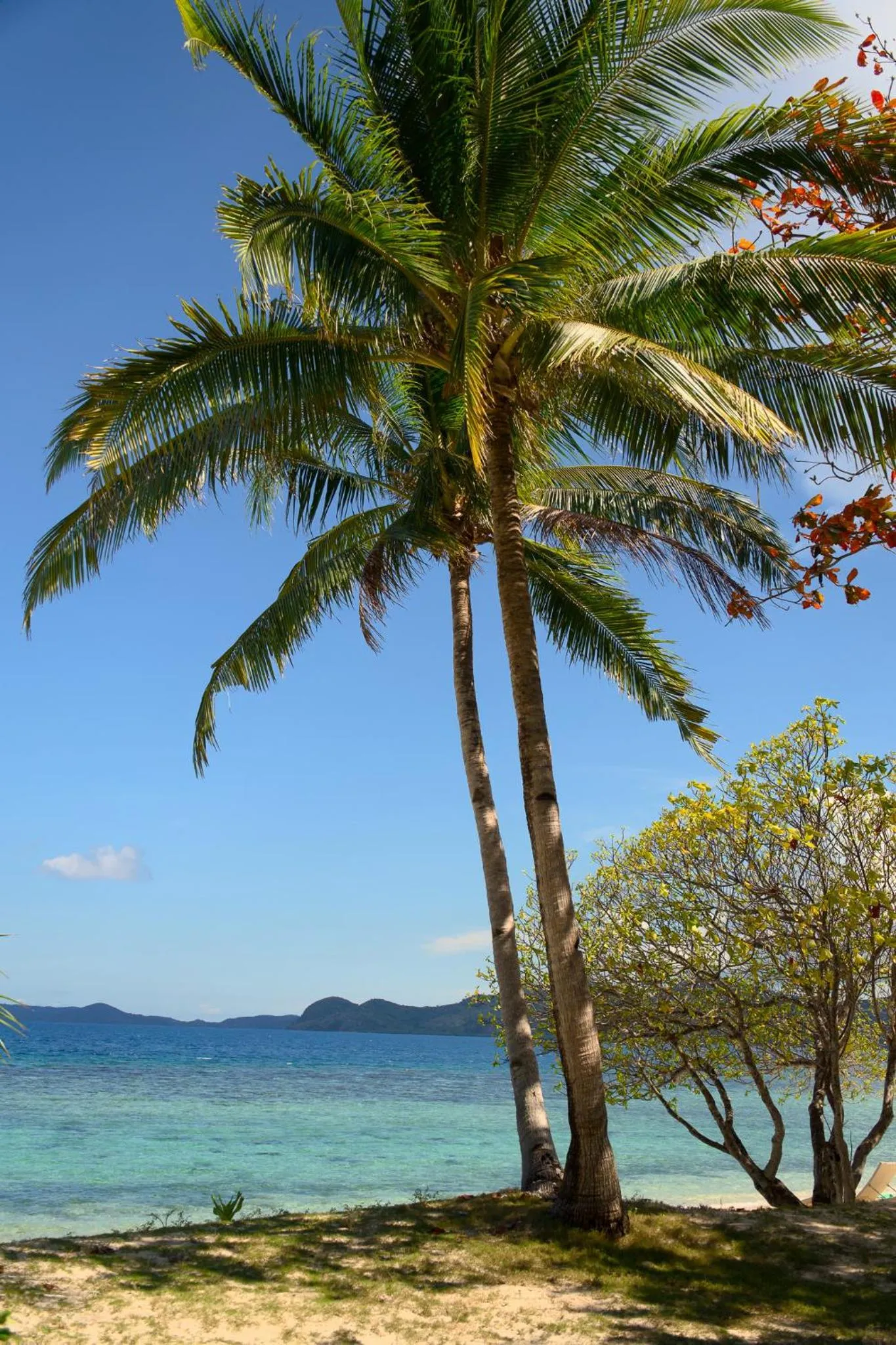 Sangat Island Dive Resort